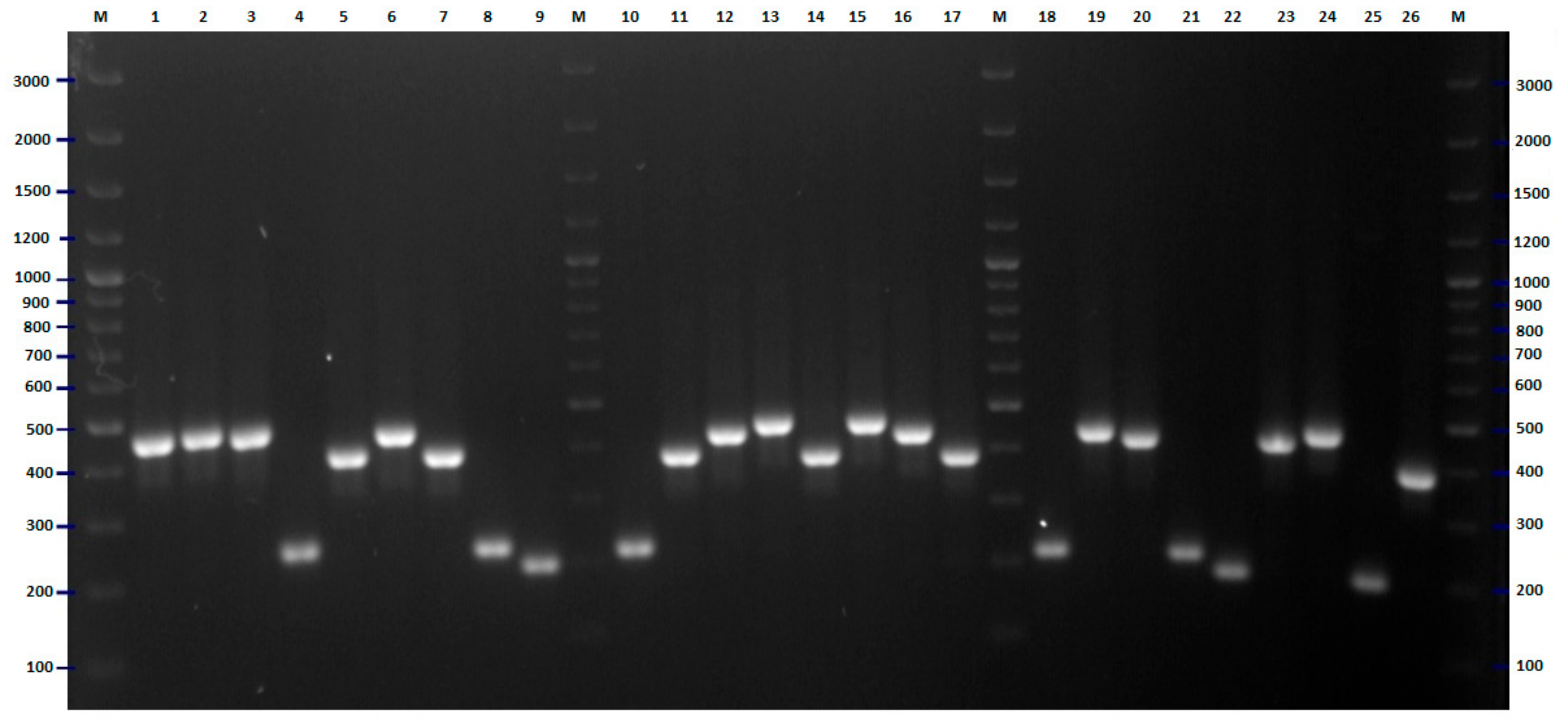 Pathogens 09 00073 g006