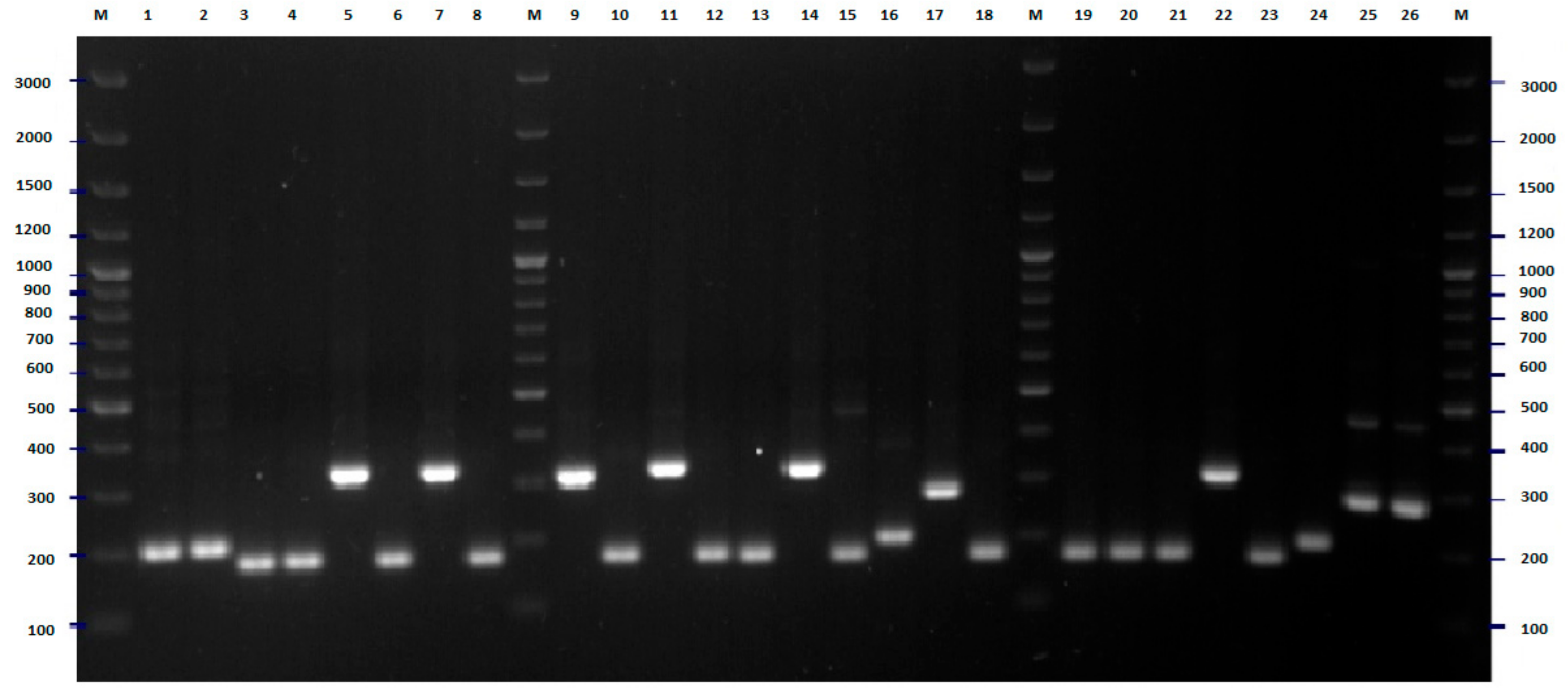 Pathogens 09 00073 g007