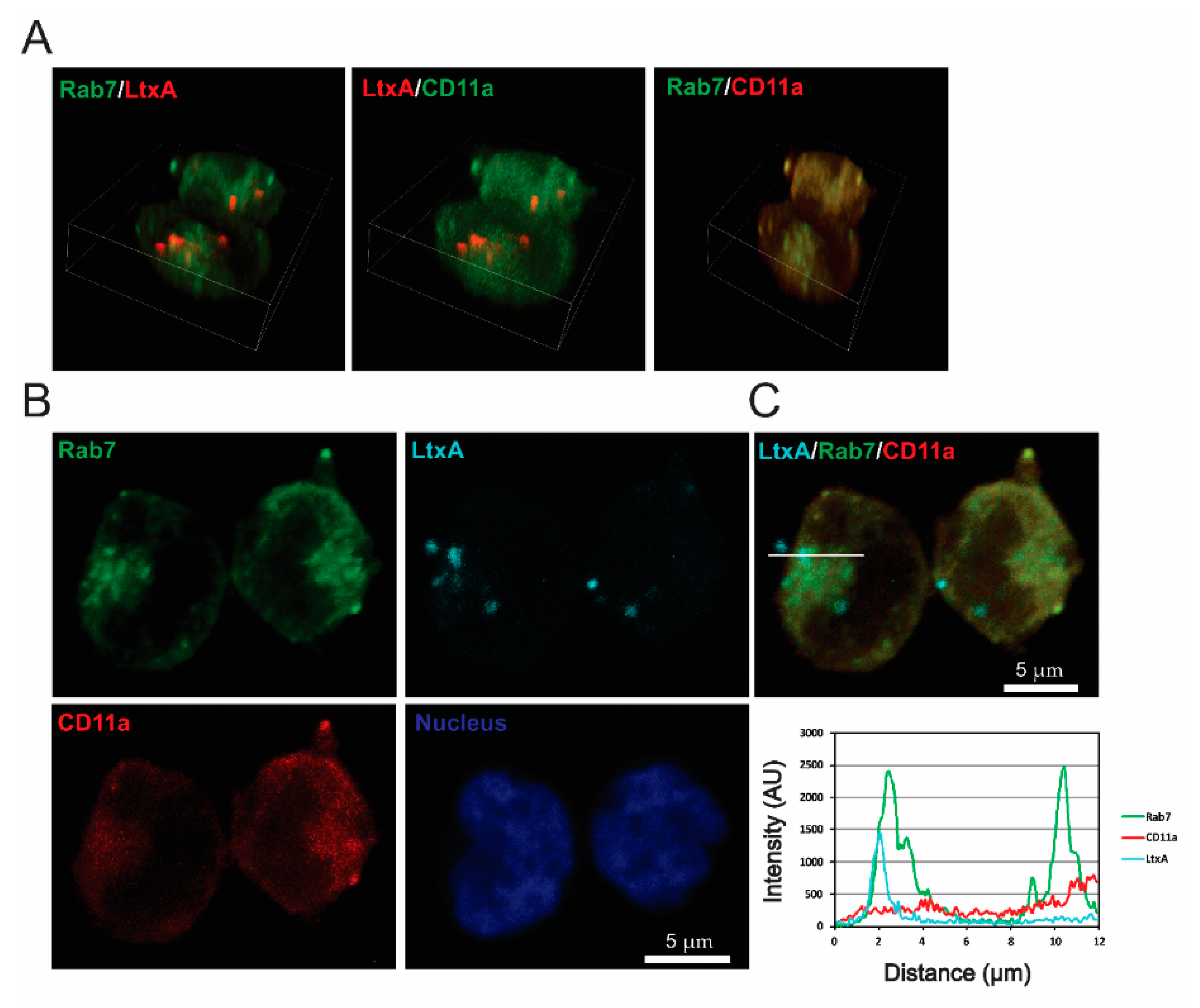 Pathogens 09 00074 g005