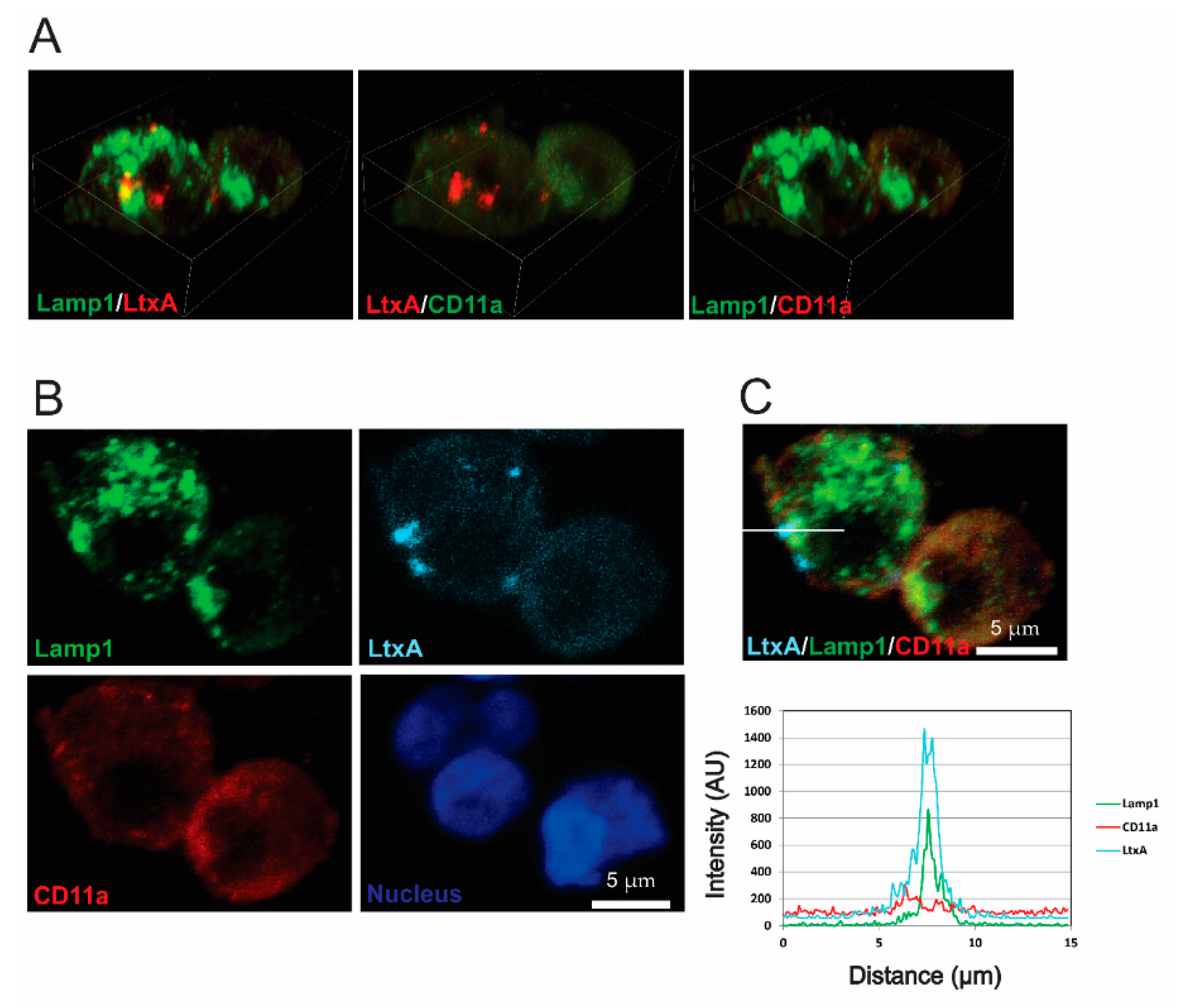 Pathogens 09 00074 g006