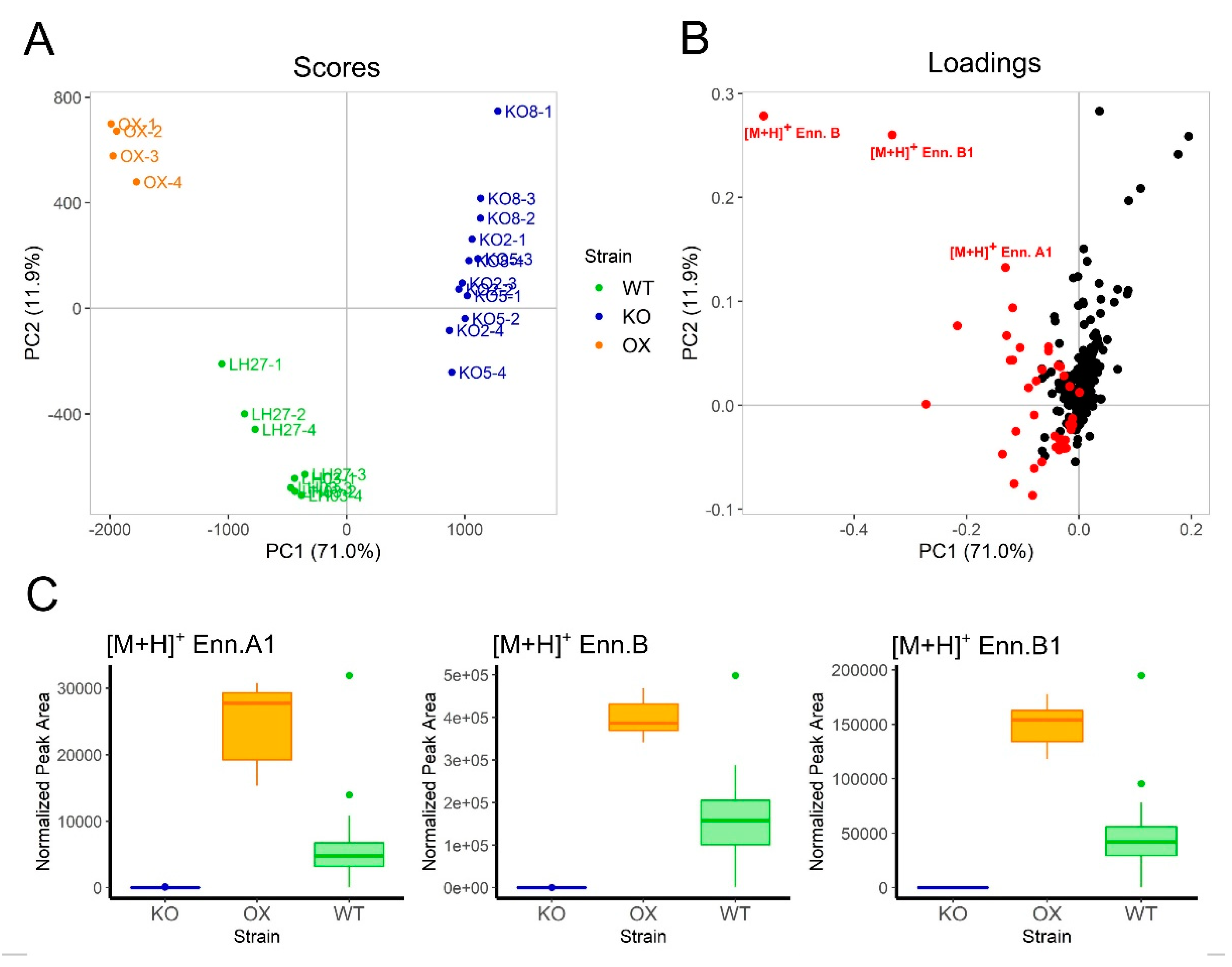 Pathogens 09 00075 g004