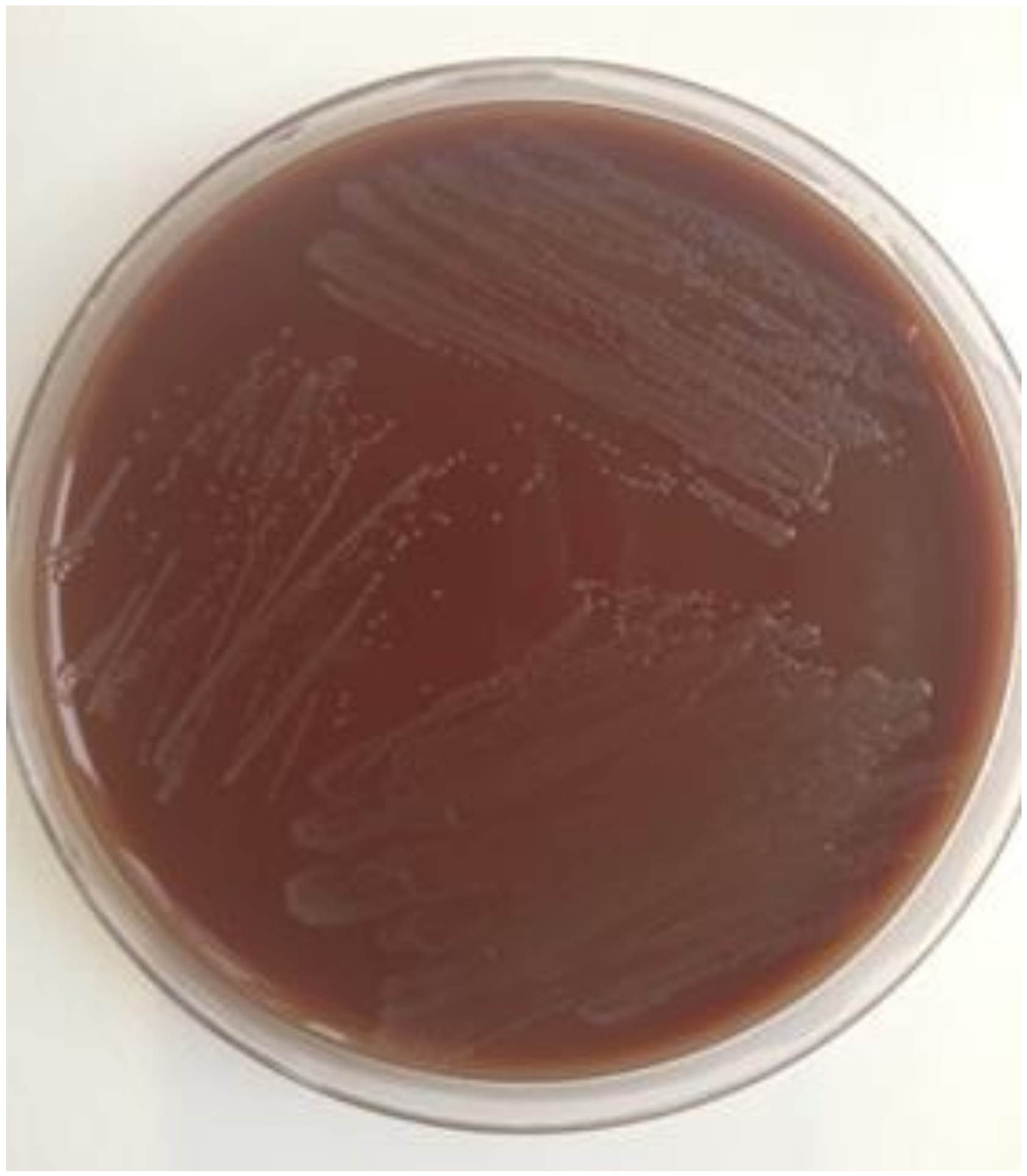 Pathogens 09 00091 g002