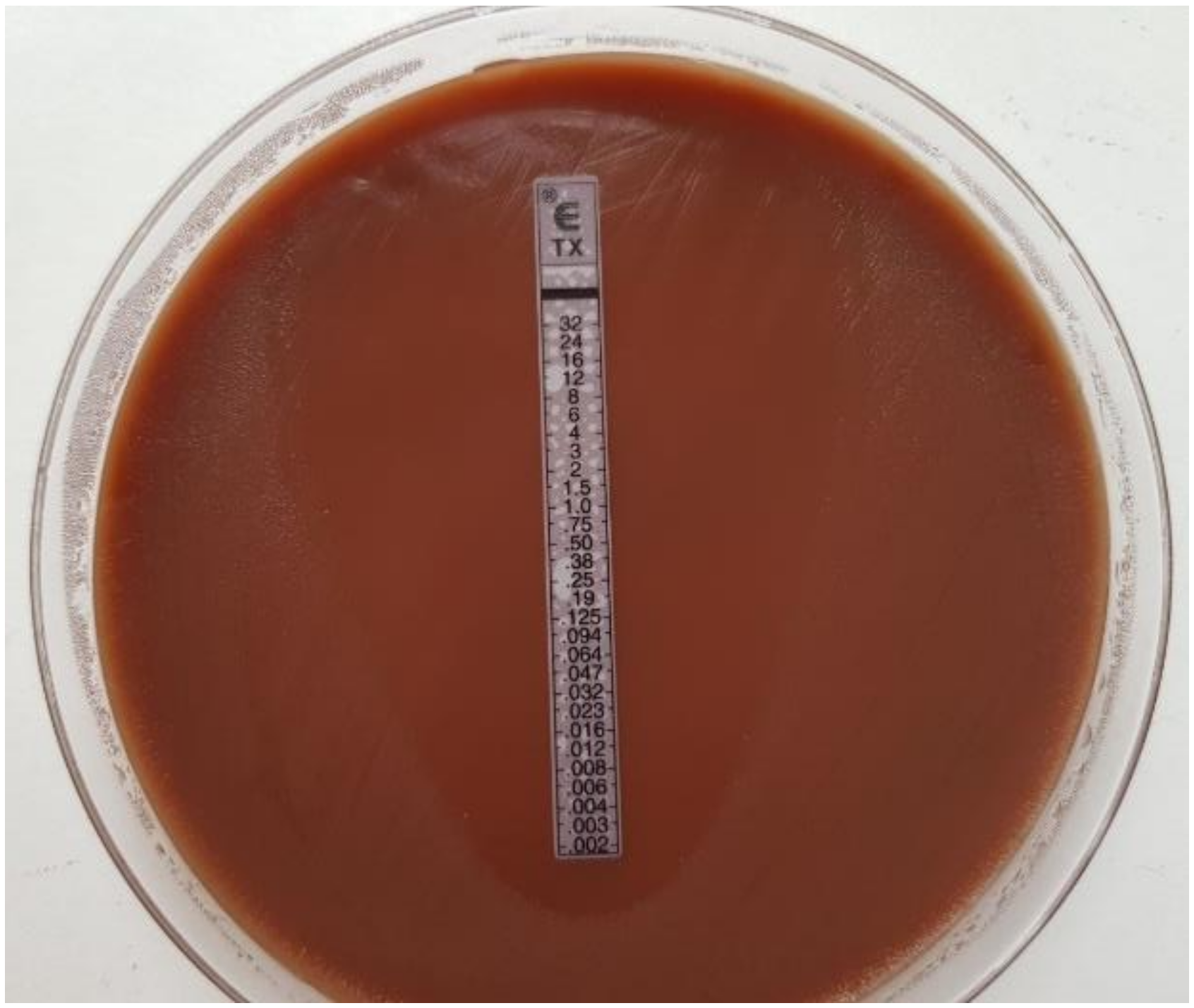 Pathogens 09 00091 g004