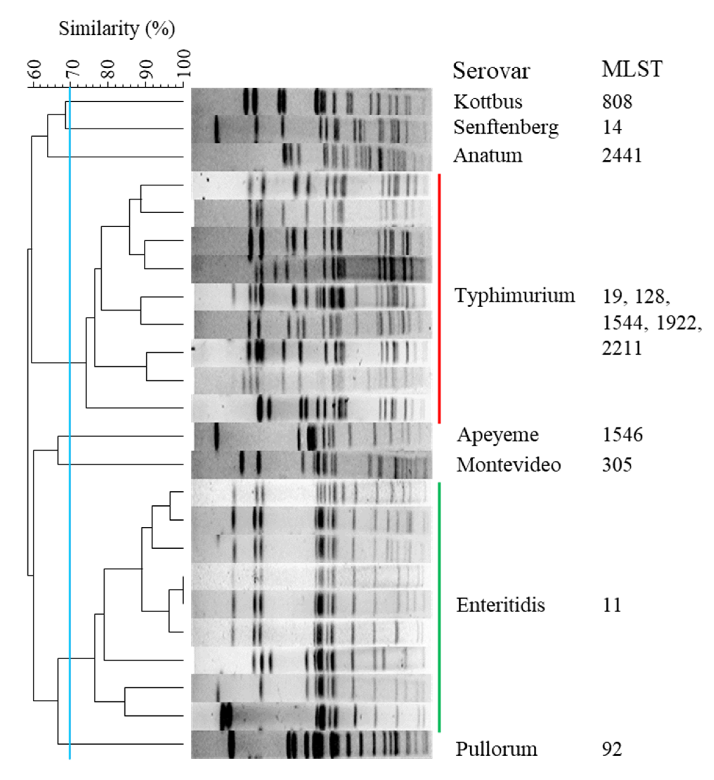 Pathogens 09 00095 g001
