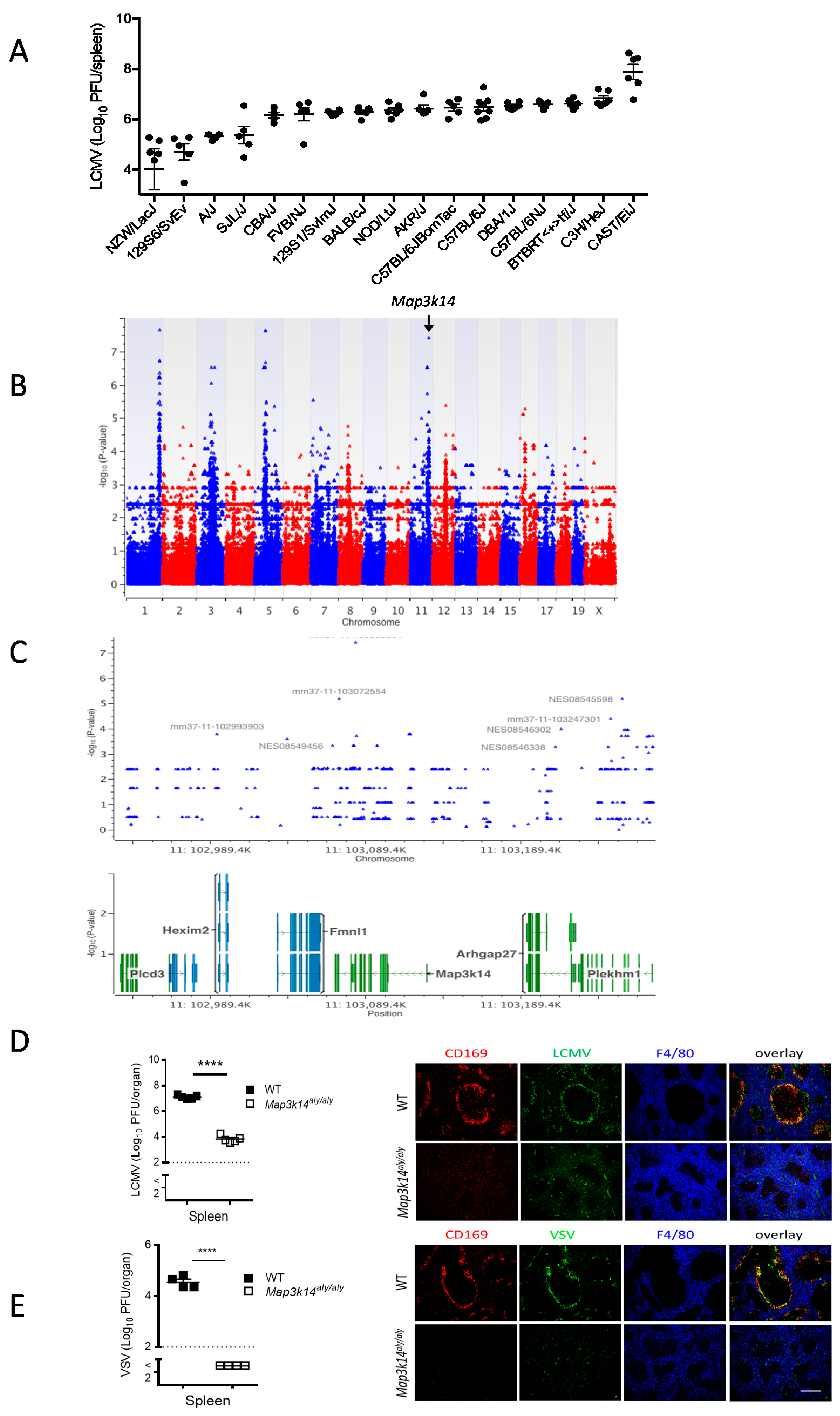 Pathogens 09 00096 g001