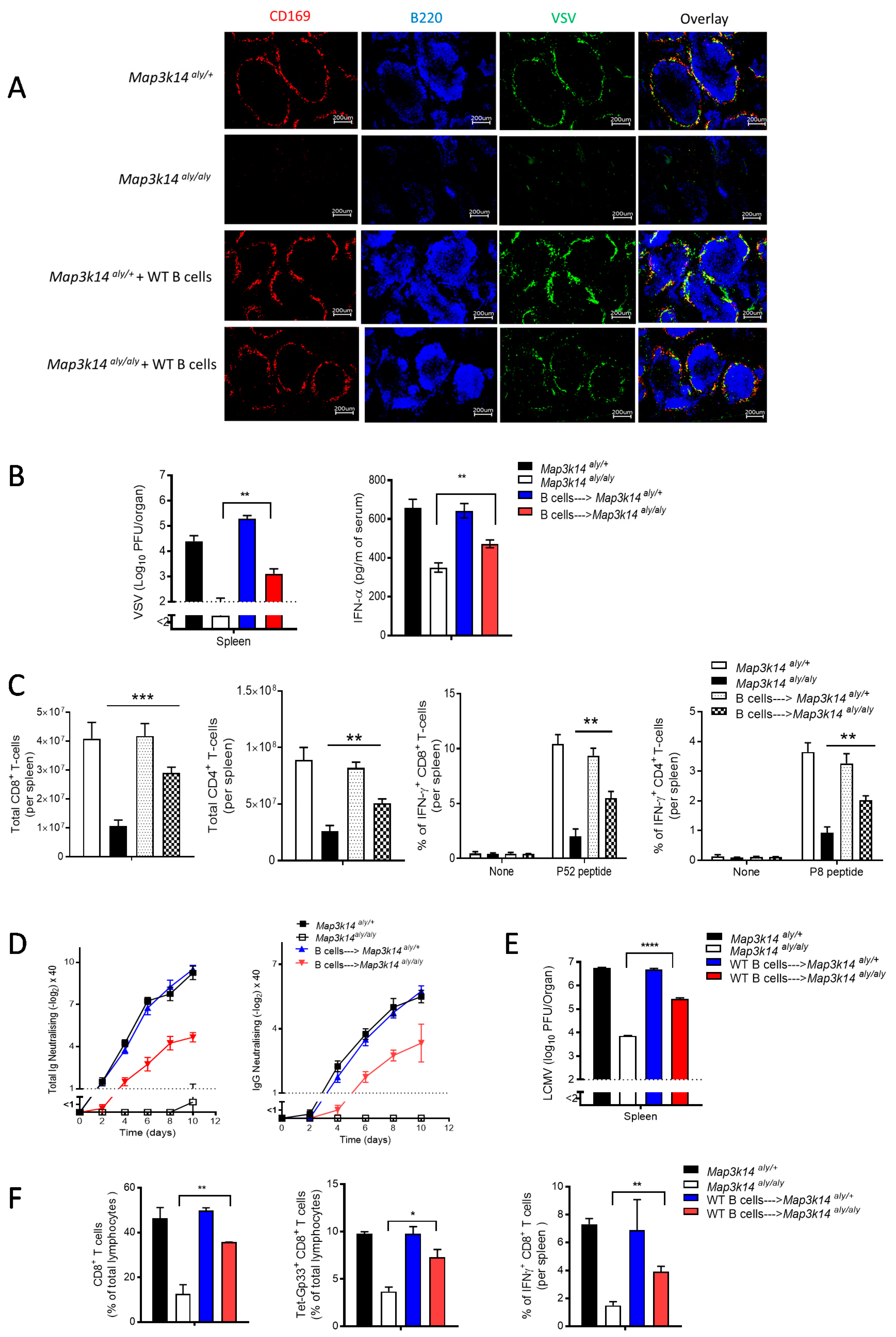 Pathogens 09 00096 g004