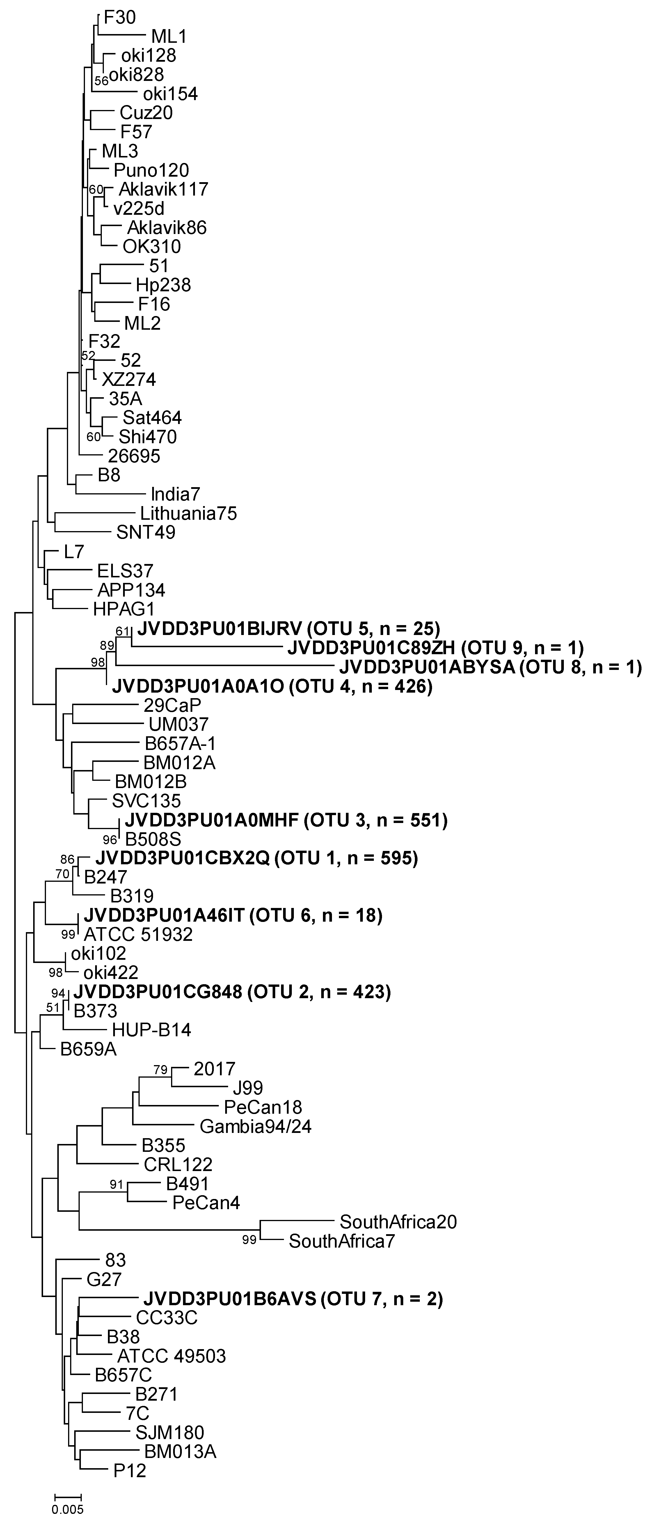 Pathogens 09 00097 g001 Pathogens 09 00097 g001