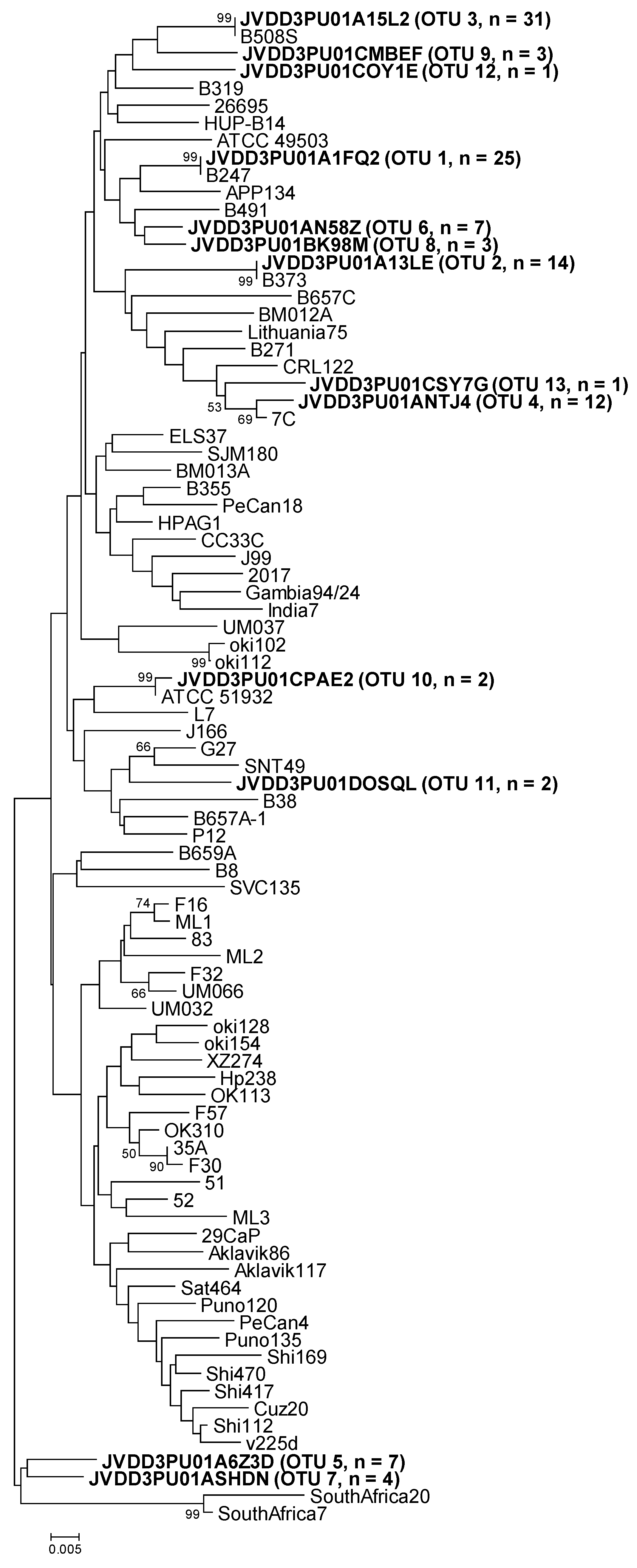 Pathogens 09 00097 g002 Pathogens 09 00097 g002