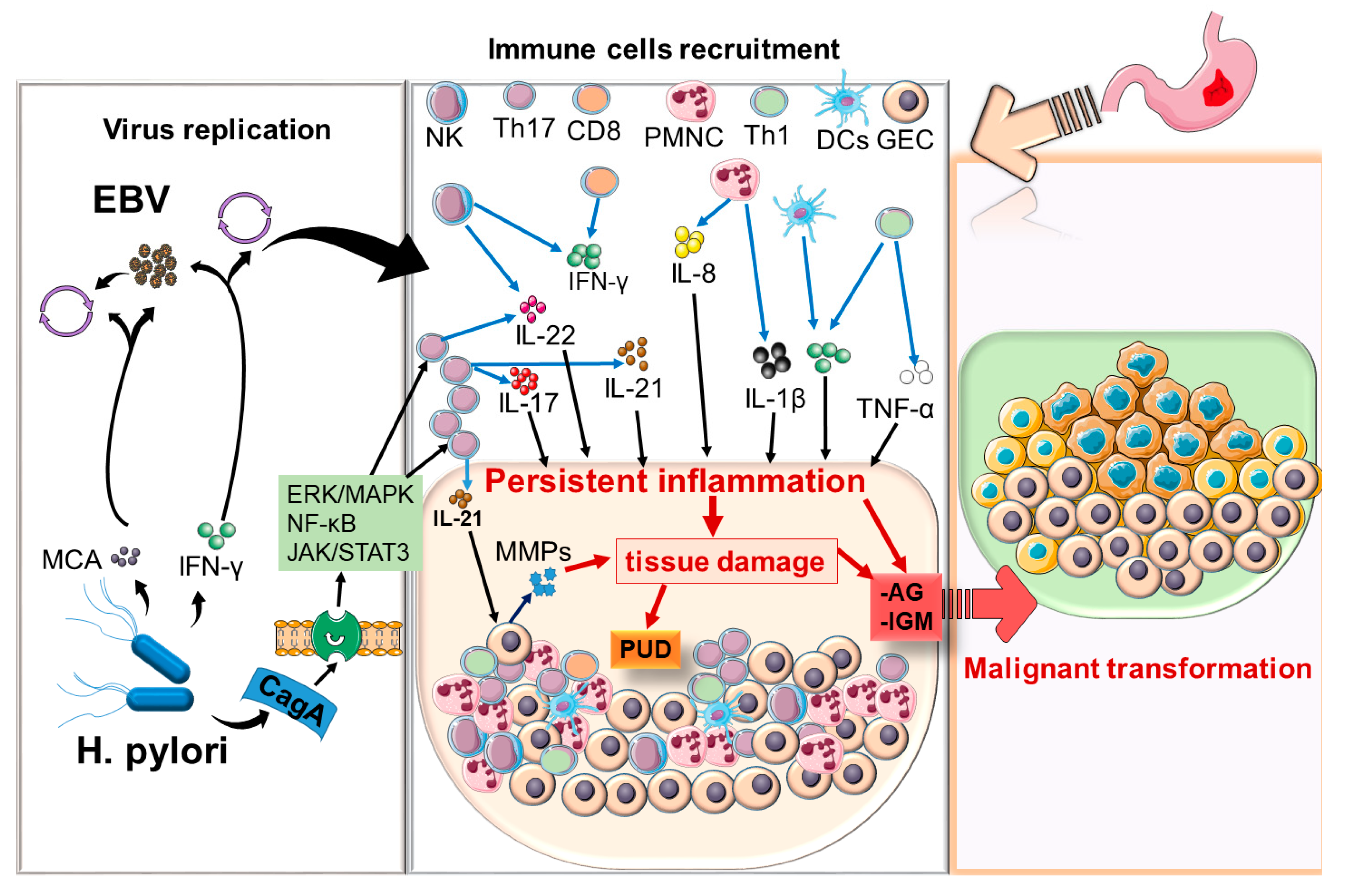 Pathogens 09 00104 g002