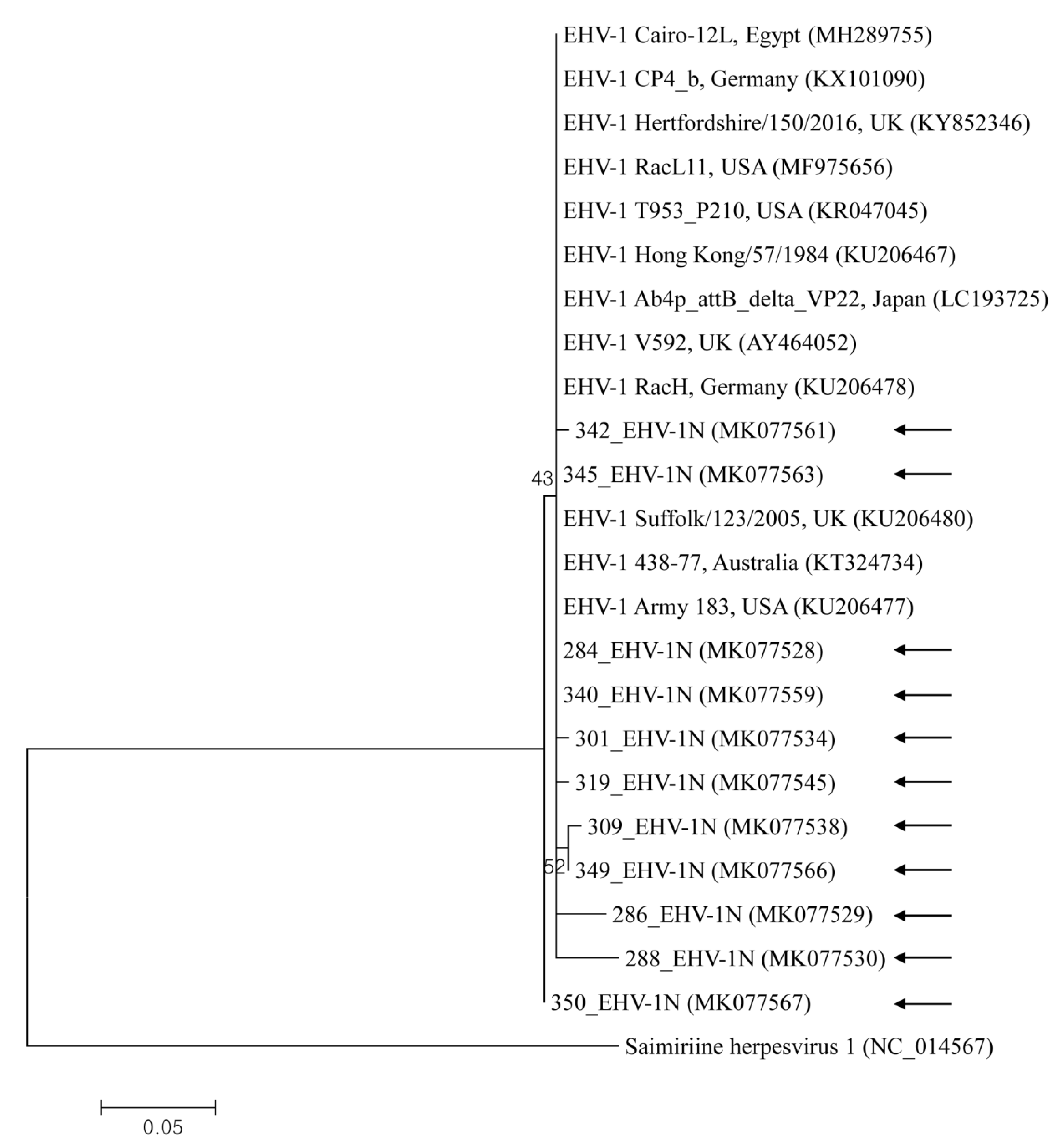 Pathogens 09 00110 g001 Pathogens 09 00110 g001