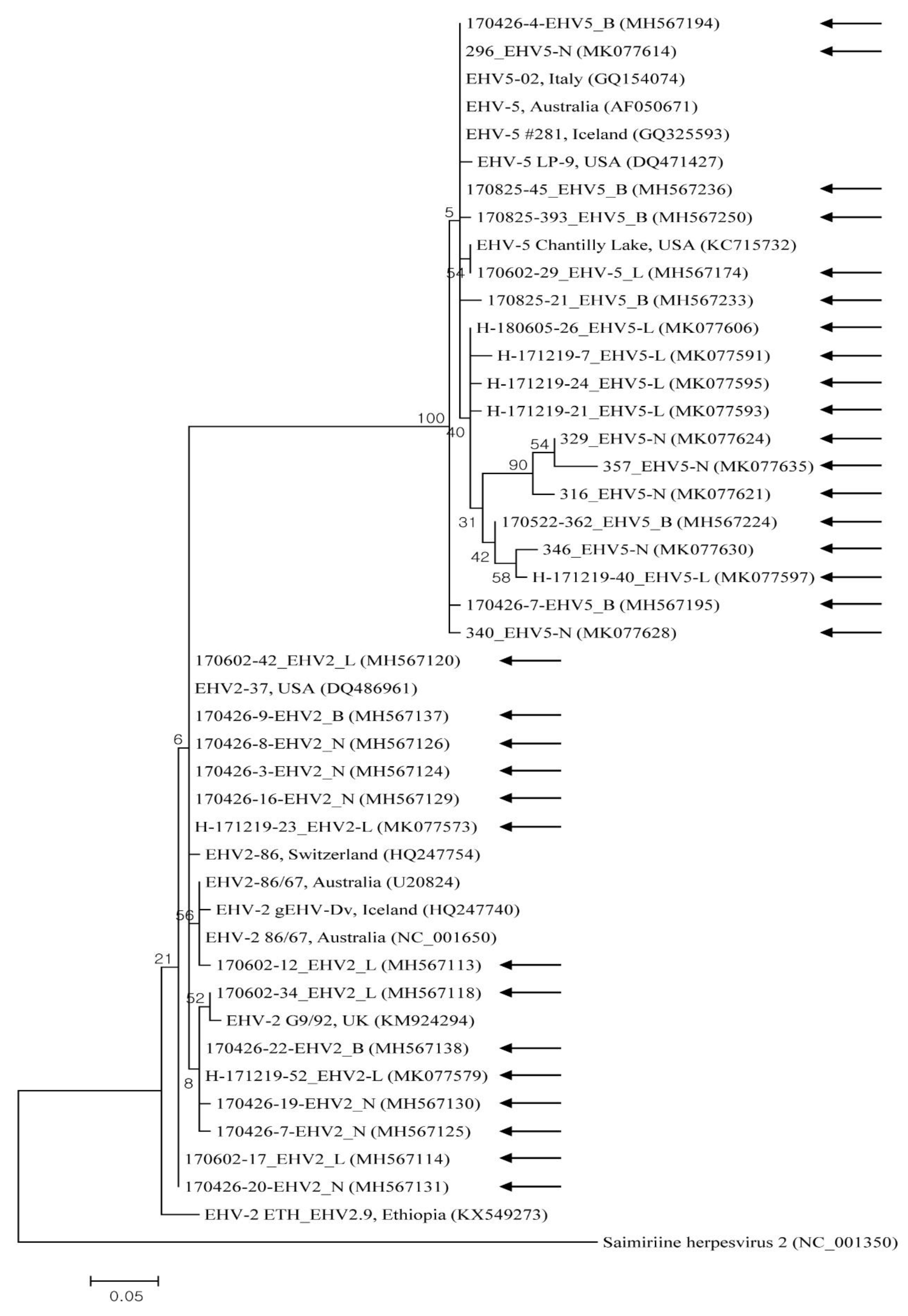 Pathogens 09 00110 g002 Pathogens 09 00110 g002
