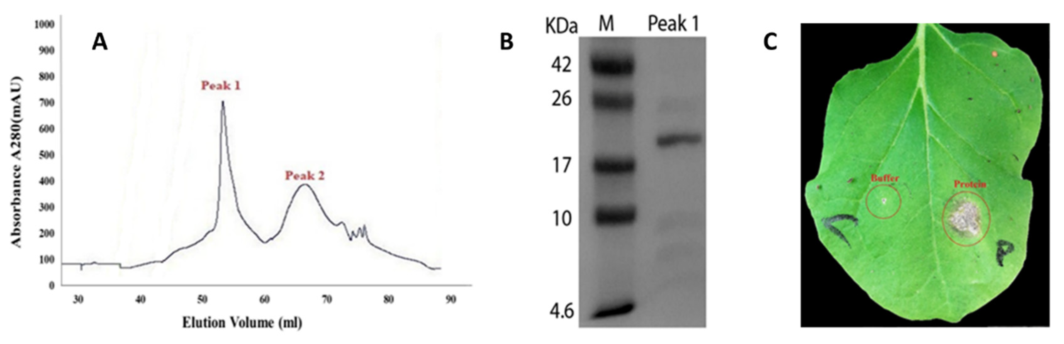 Pathogens 09 00111 g001 Pathogens 09 00111 g001