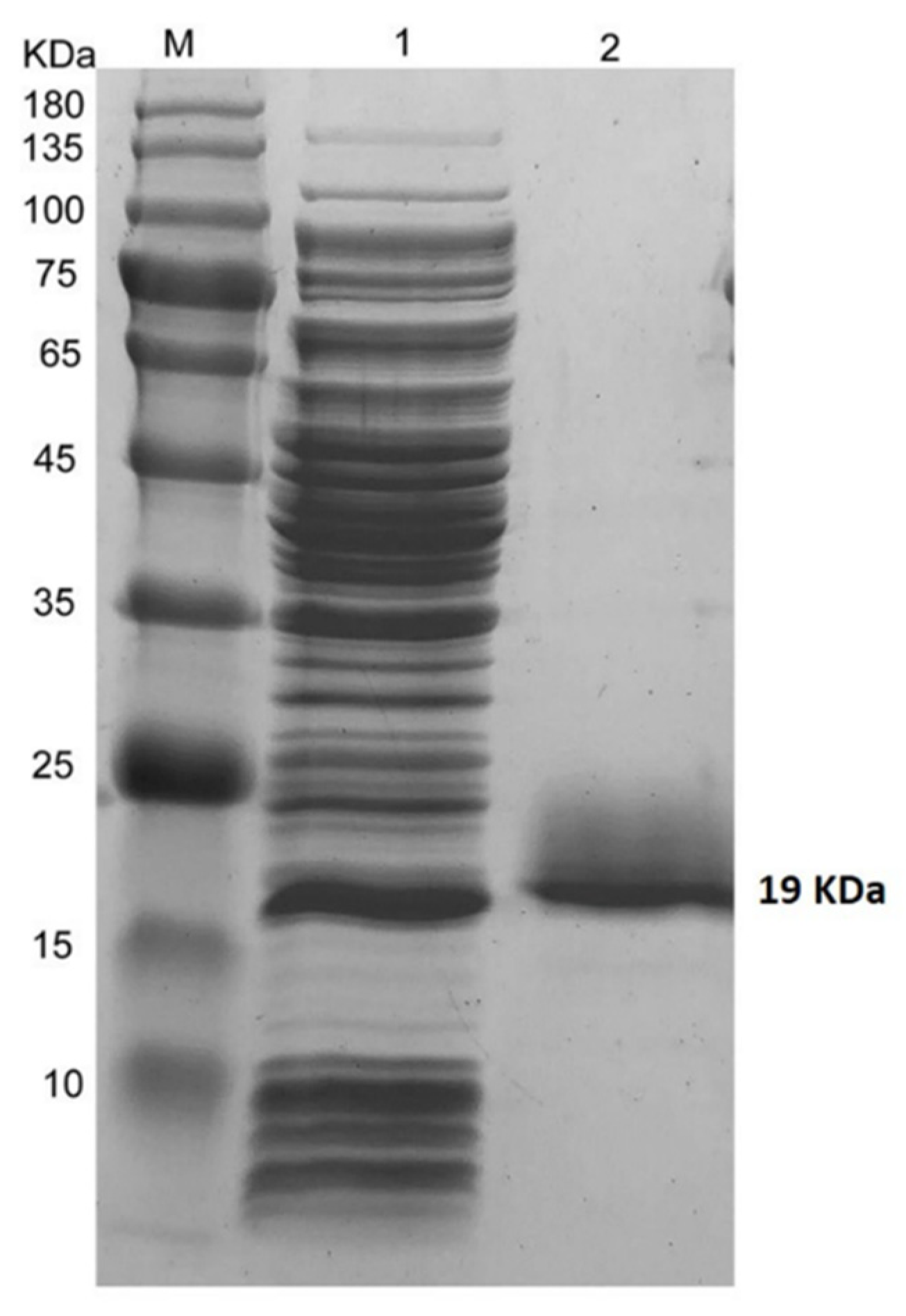 Pathogens 09 00111 g003 Pathogens 09 00111 g003