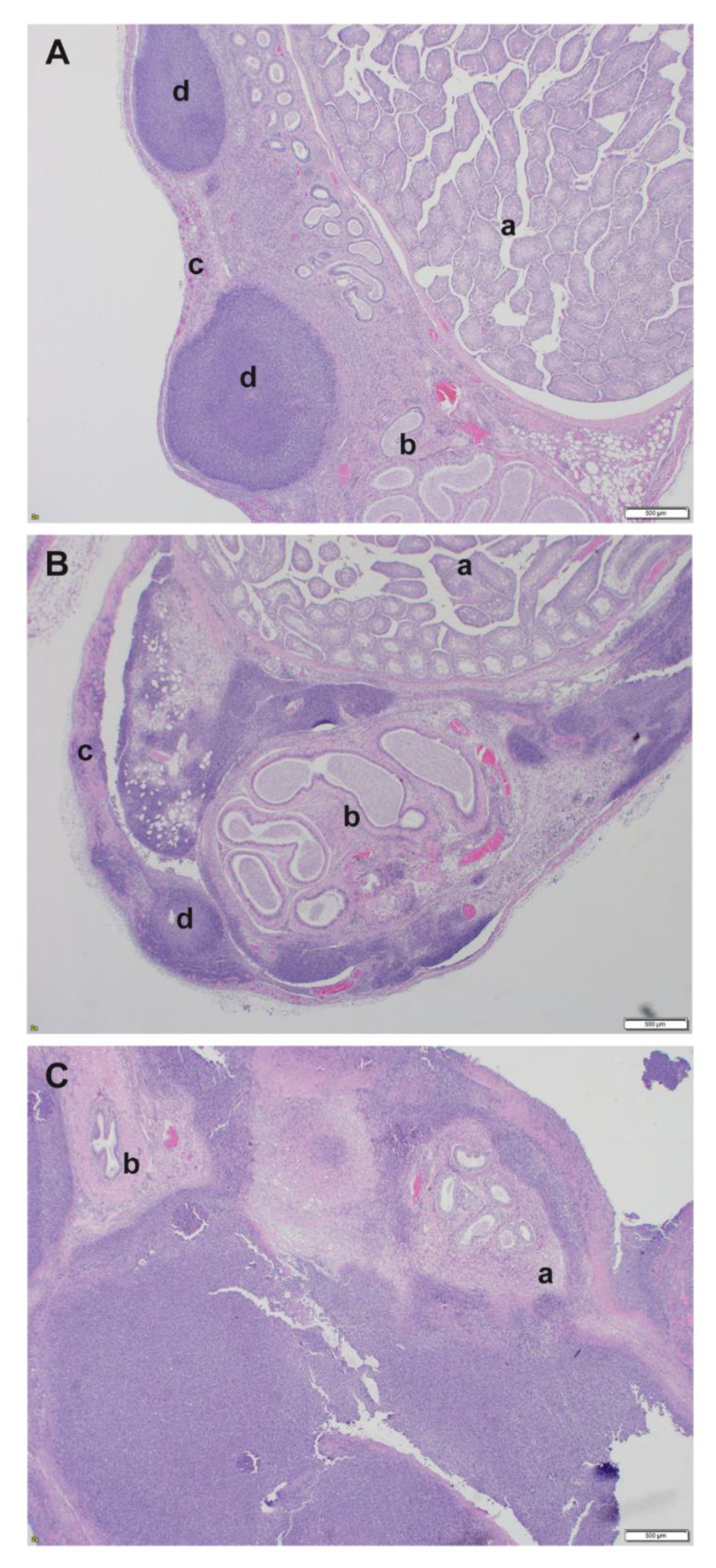 Pathogens 09 00113 g003