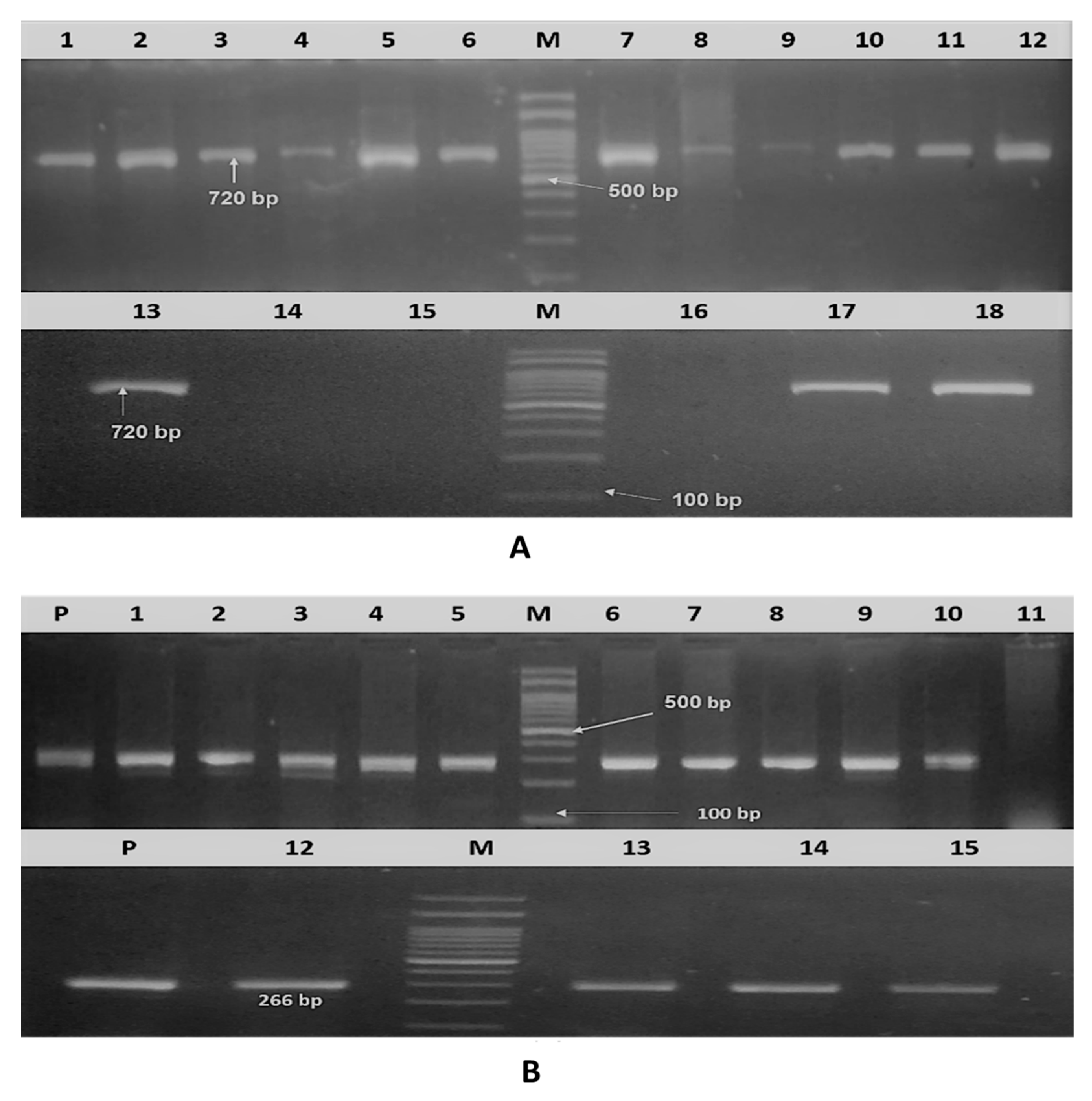 Pathogens 09 00114 g001 Pathogens 09 00114 g001