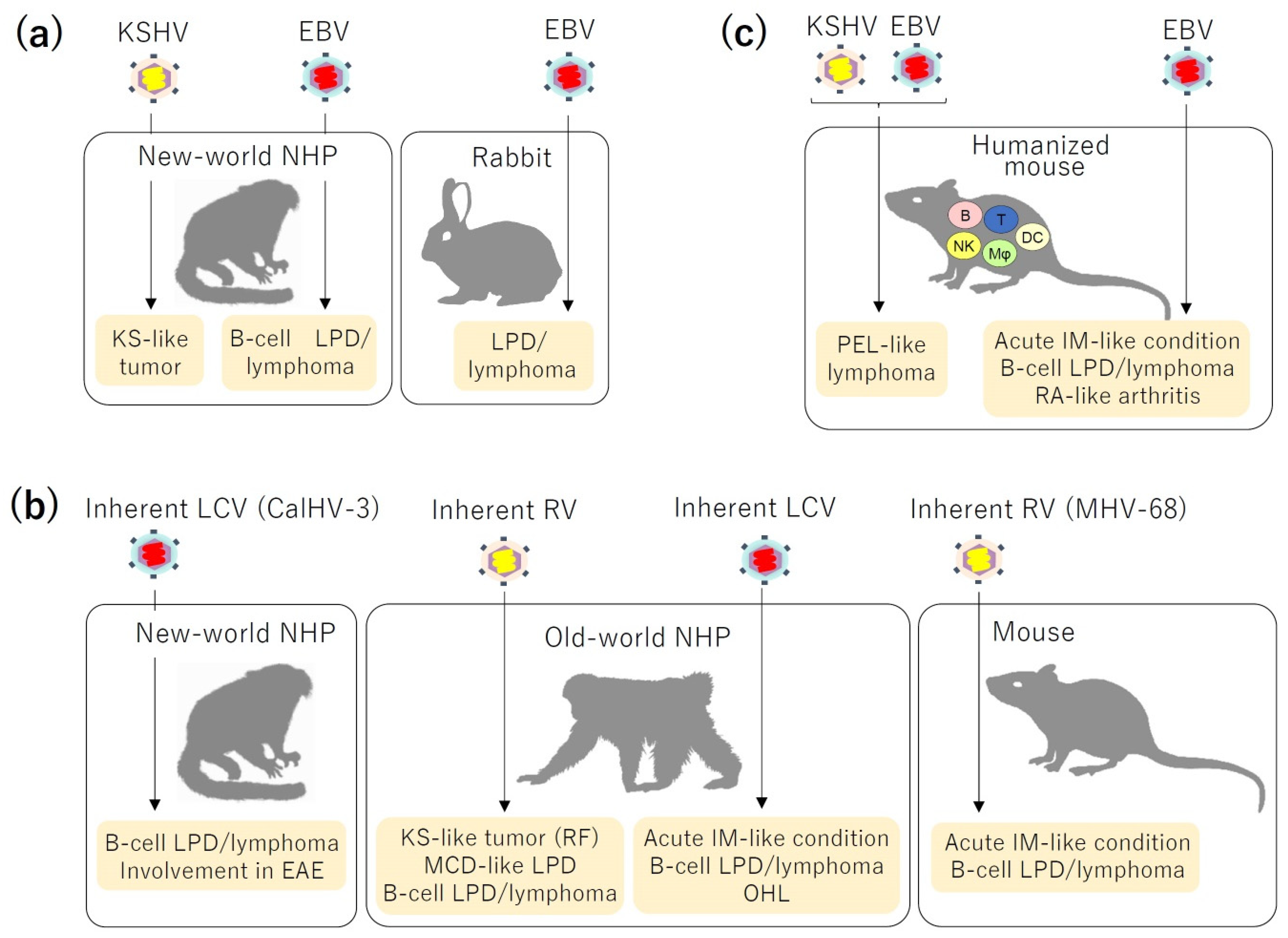 Pathogens 09 00116 g001