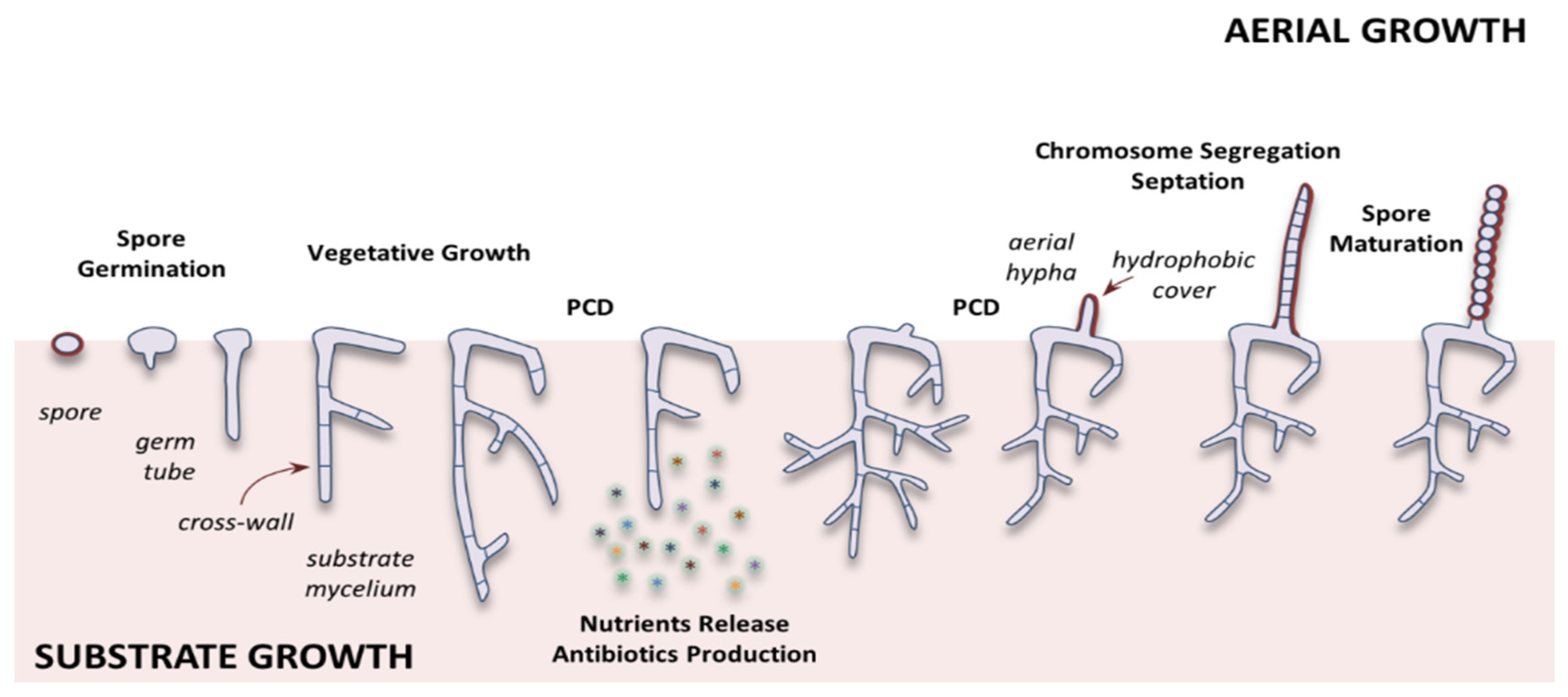 Pathogens 09 00117 g001