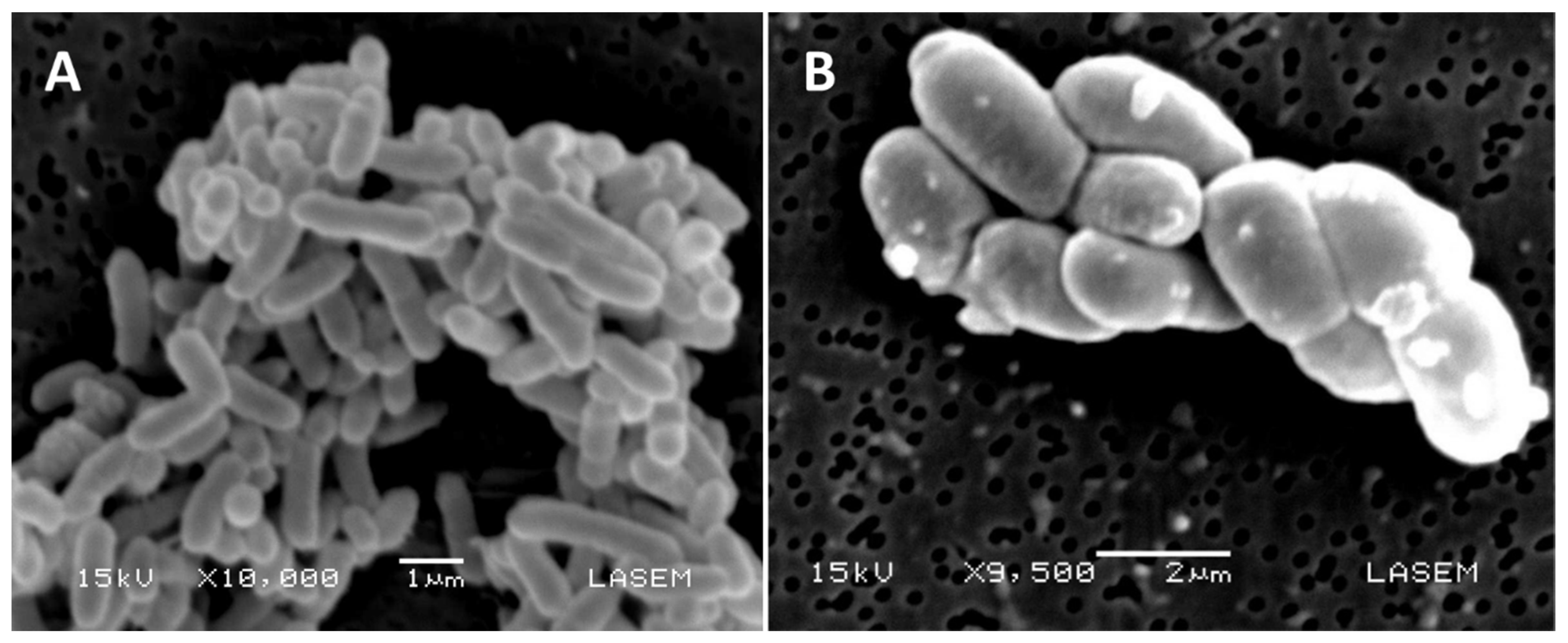 Pathogens 09 00117 g002