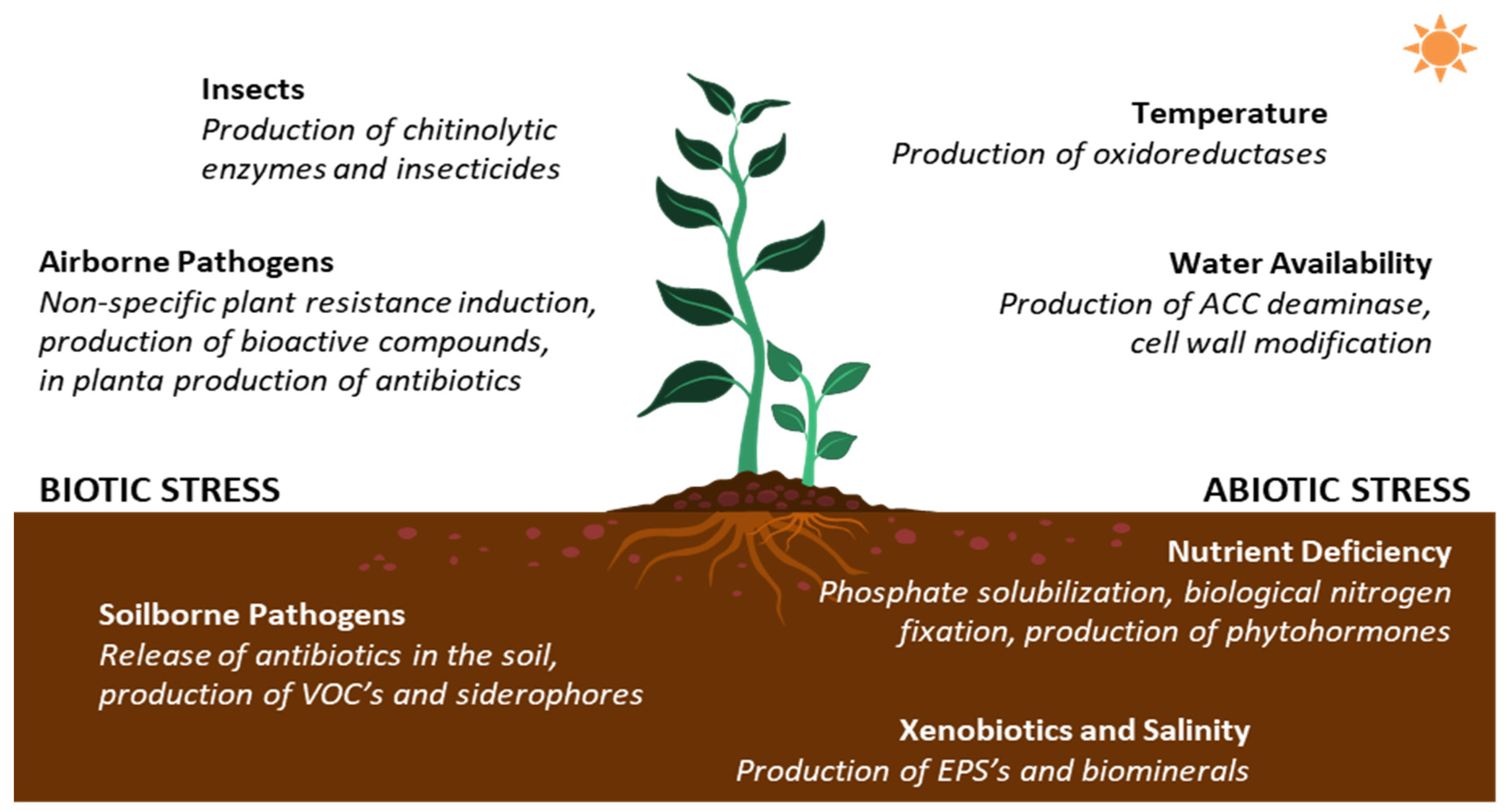 Pathogens 09 00117 g005