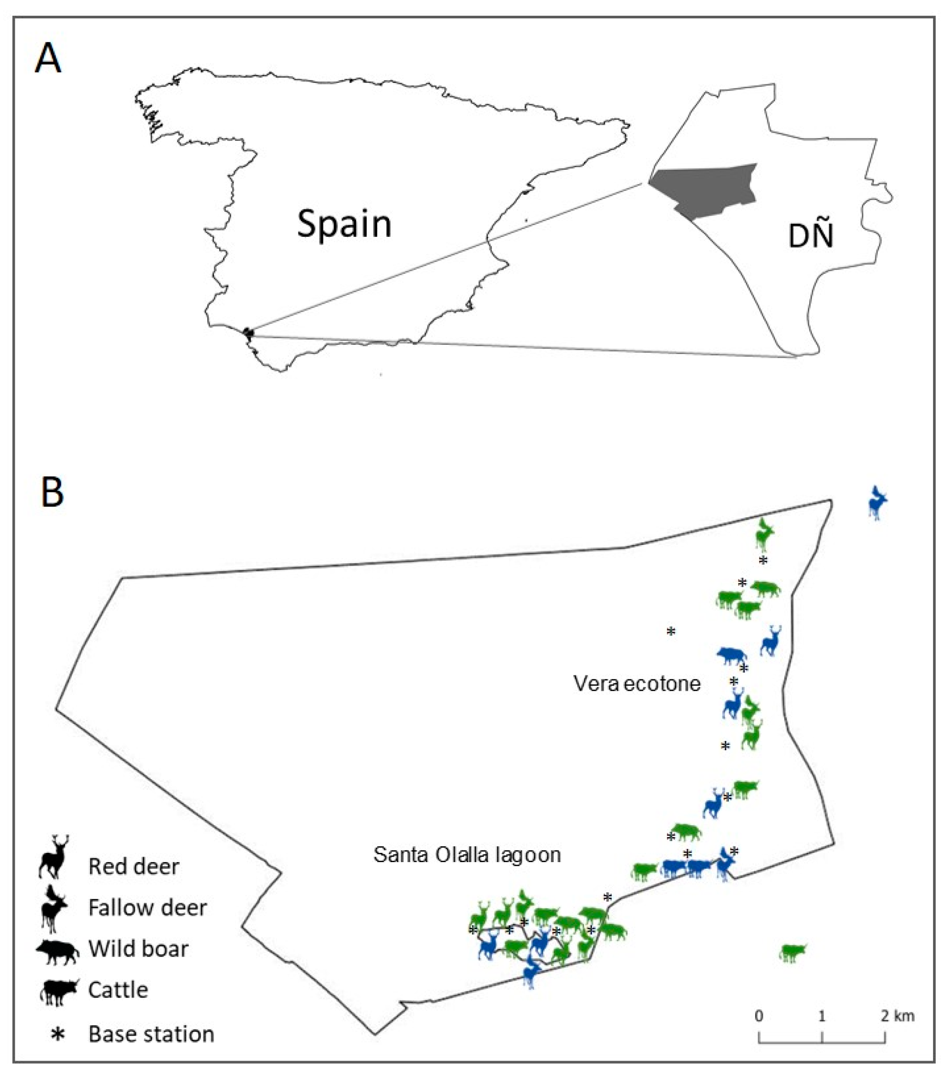 Pathogens 09 00120 g006