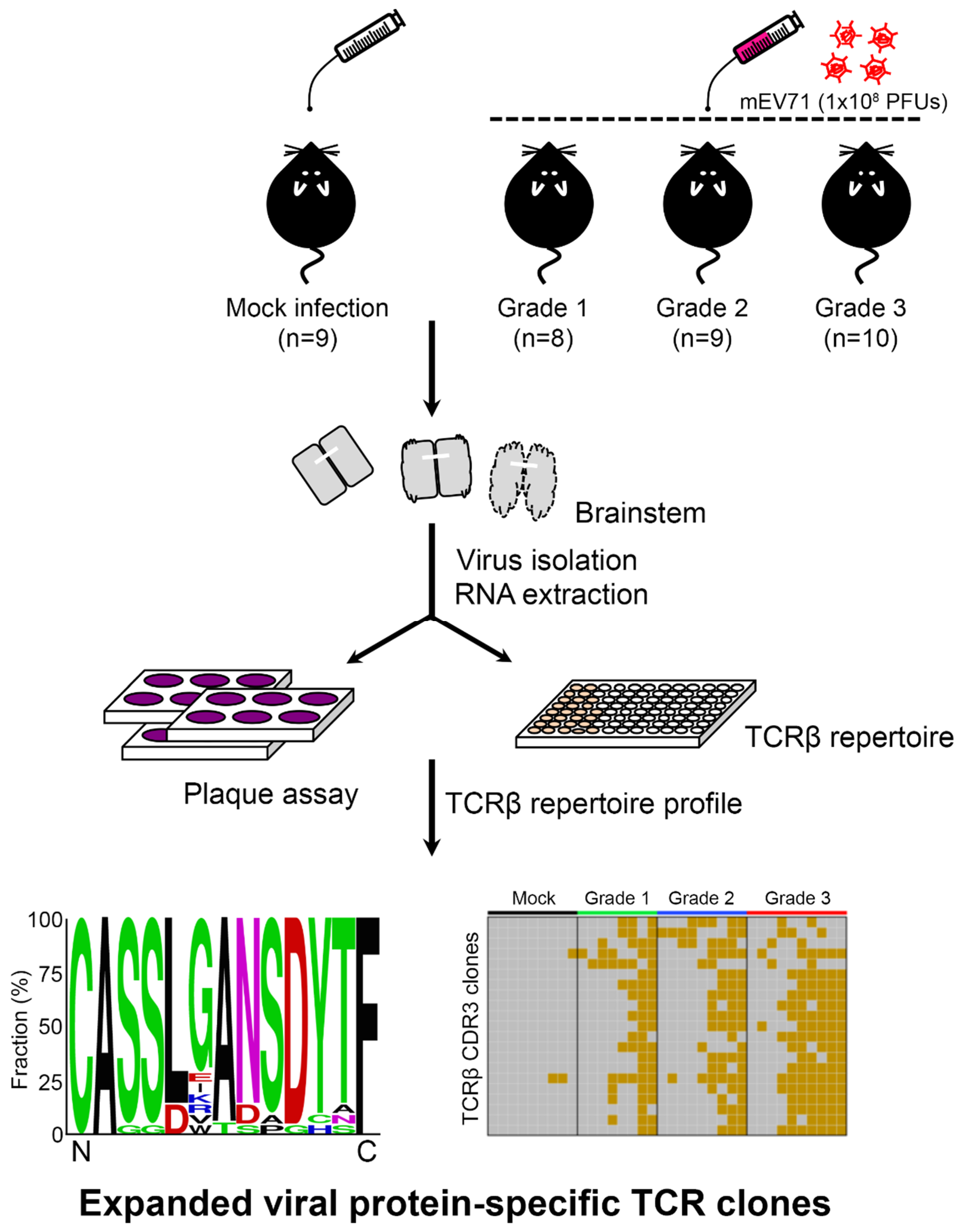 Pathogens 09 00121 g001