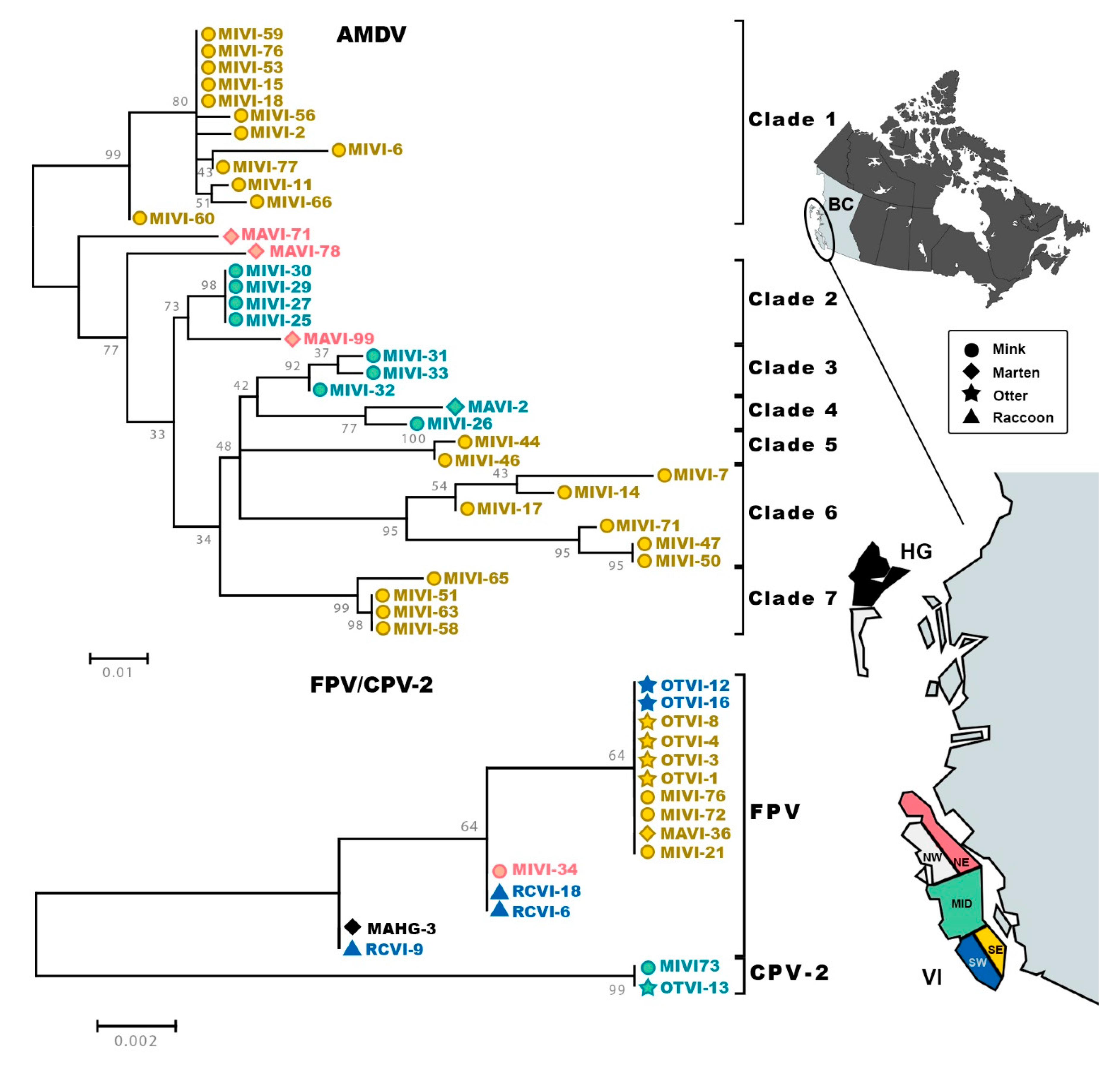 Pathogens 09 00124 g001