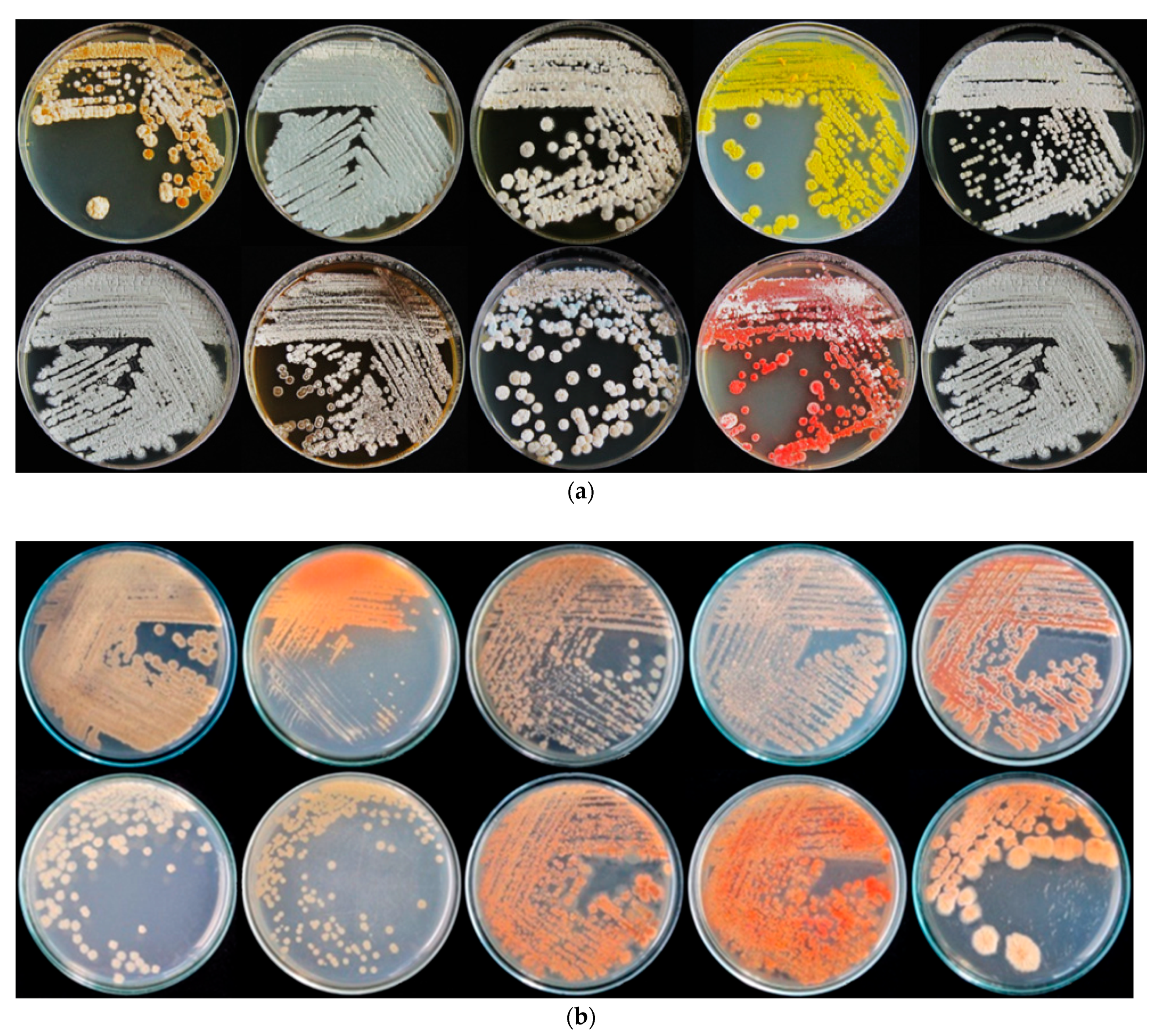 Pathogens 09 00126 g001