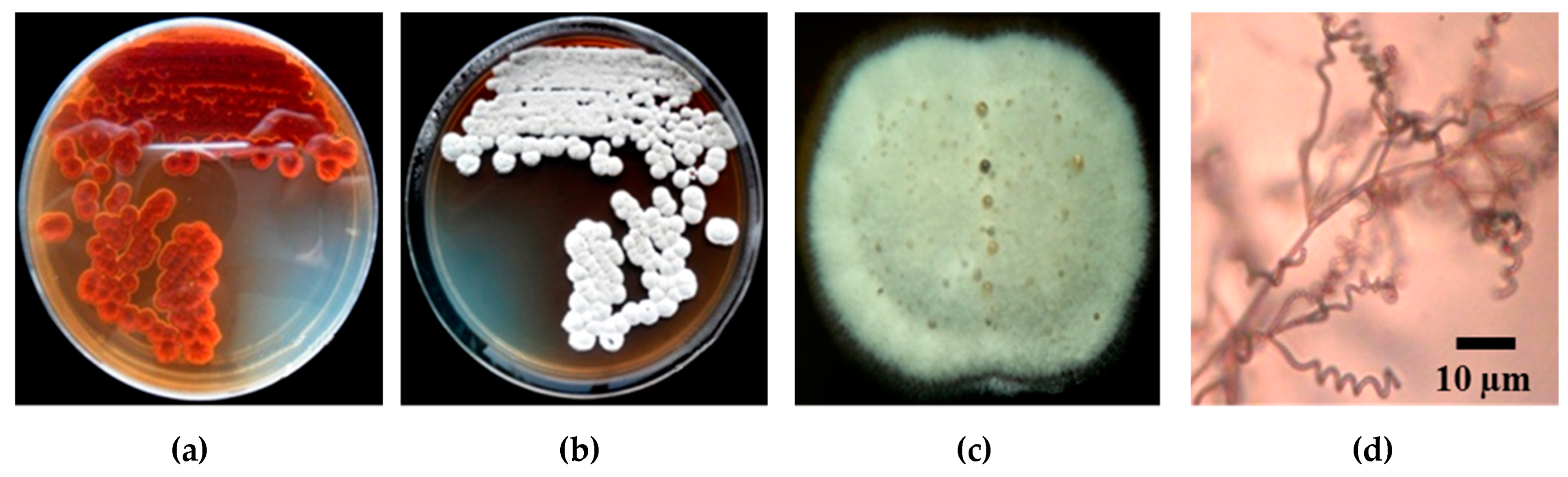 Pathogens 09 00126 g003