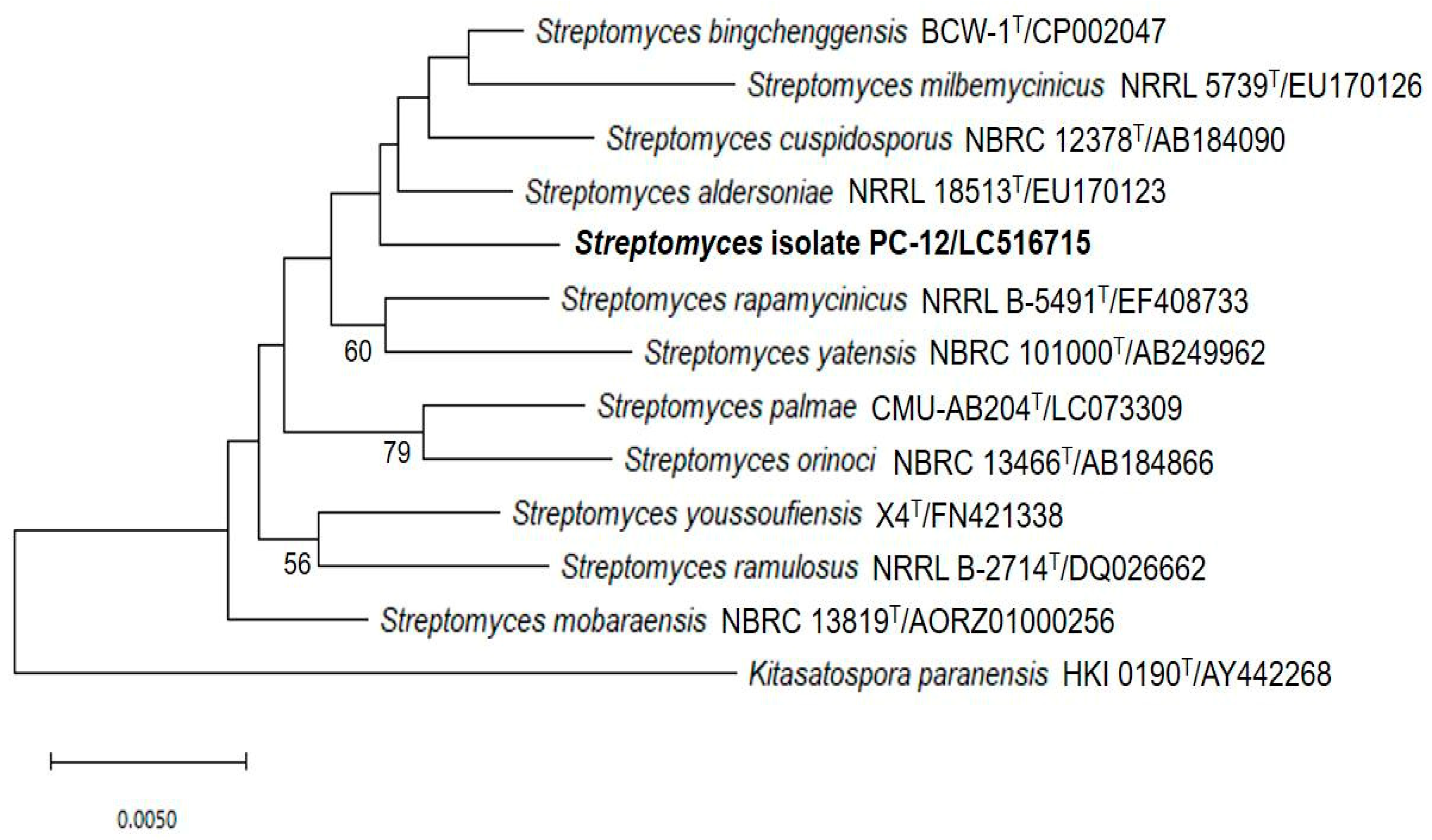 Pathogens 09 00126 g005
