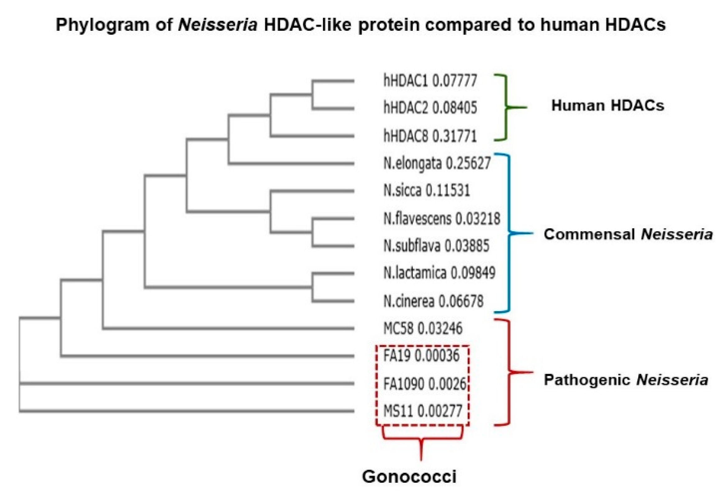Pathogens 09 00132 g002