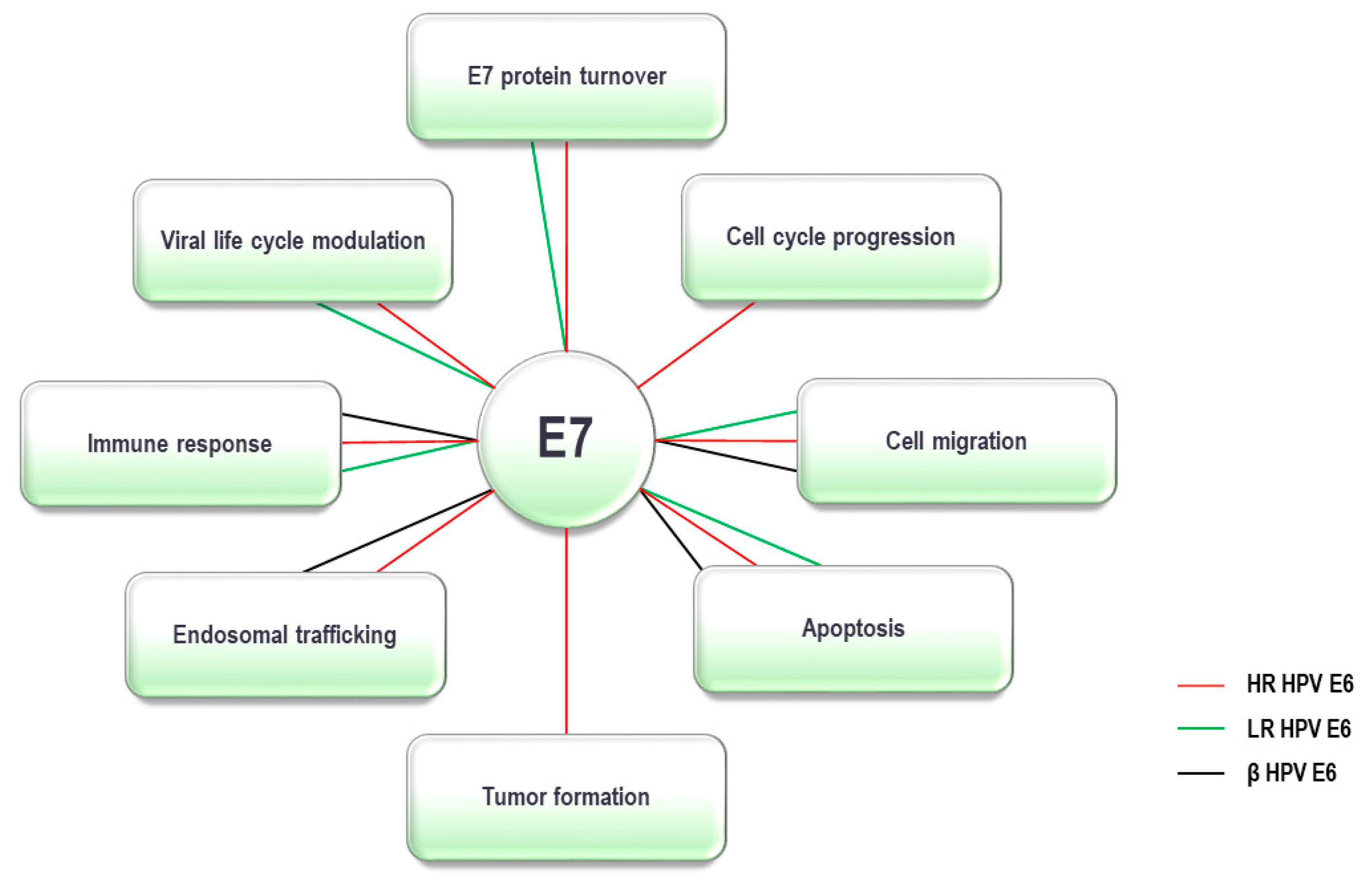 Pathogens 09 00133 g002