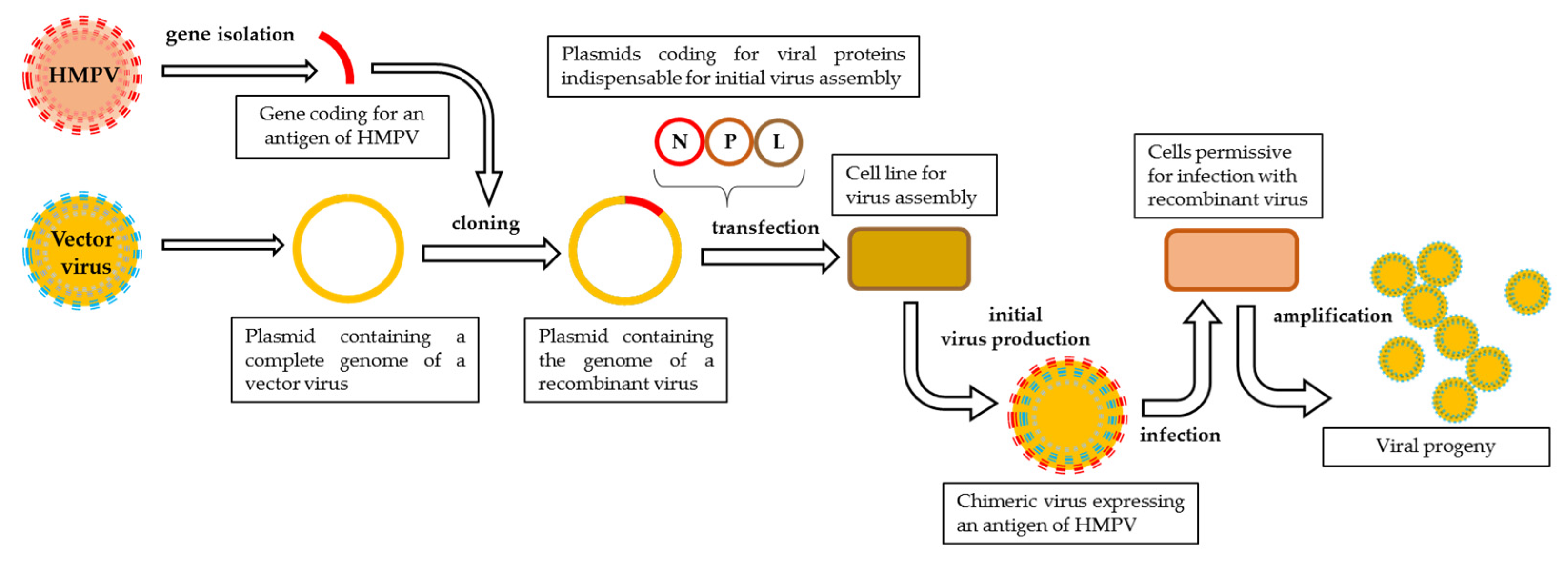 Pathogens 09 00135 g001