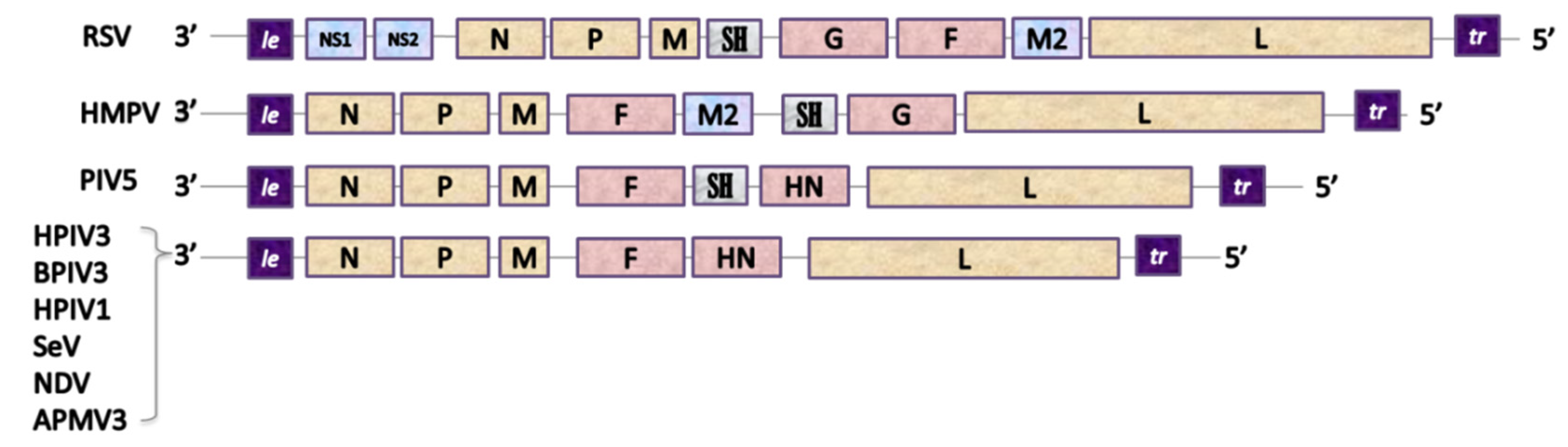 Pathogens 09 00135 g002