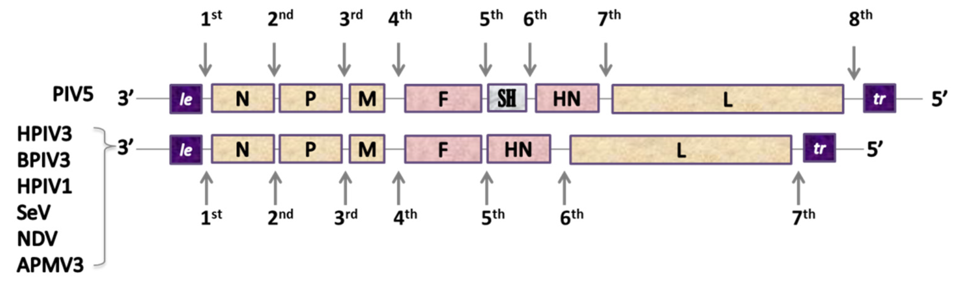 Pathogens 09 00135 g003