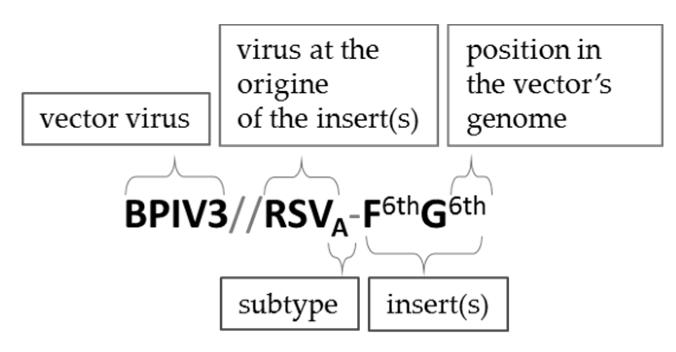 Pathogens 09 00135 g004