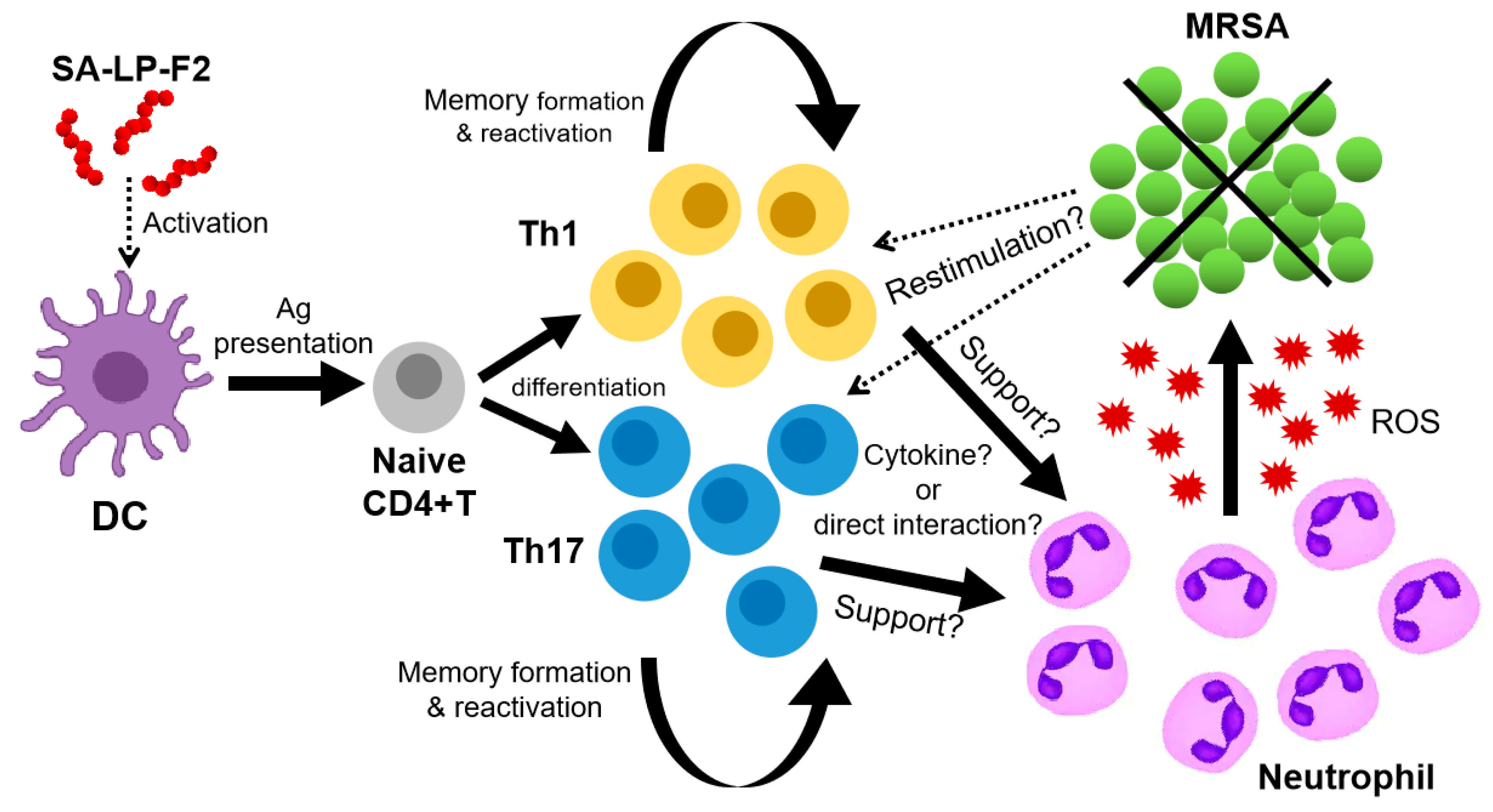 Pathogens 09 00138 g007