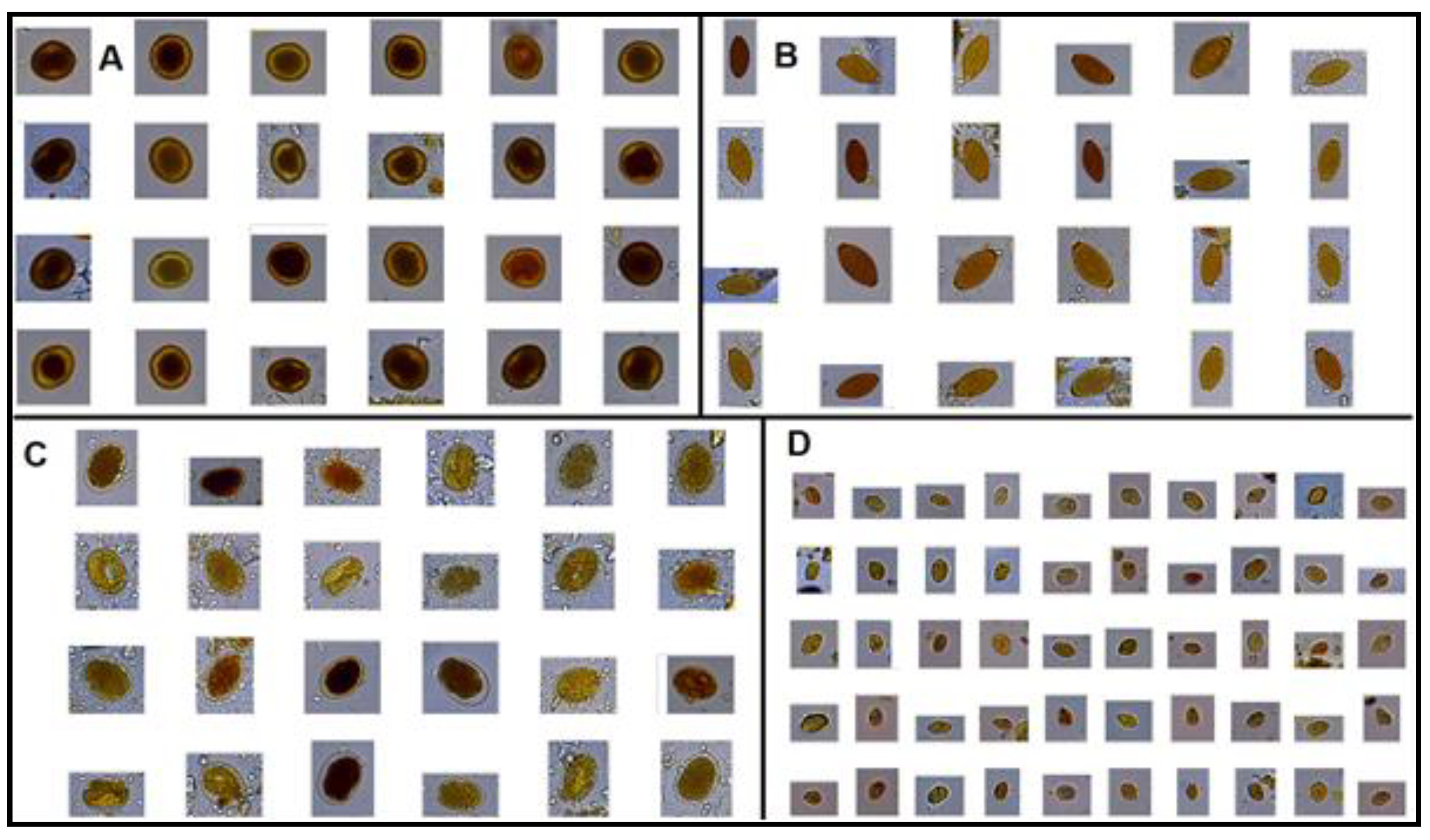 Pathogens 09 00139 g003