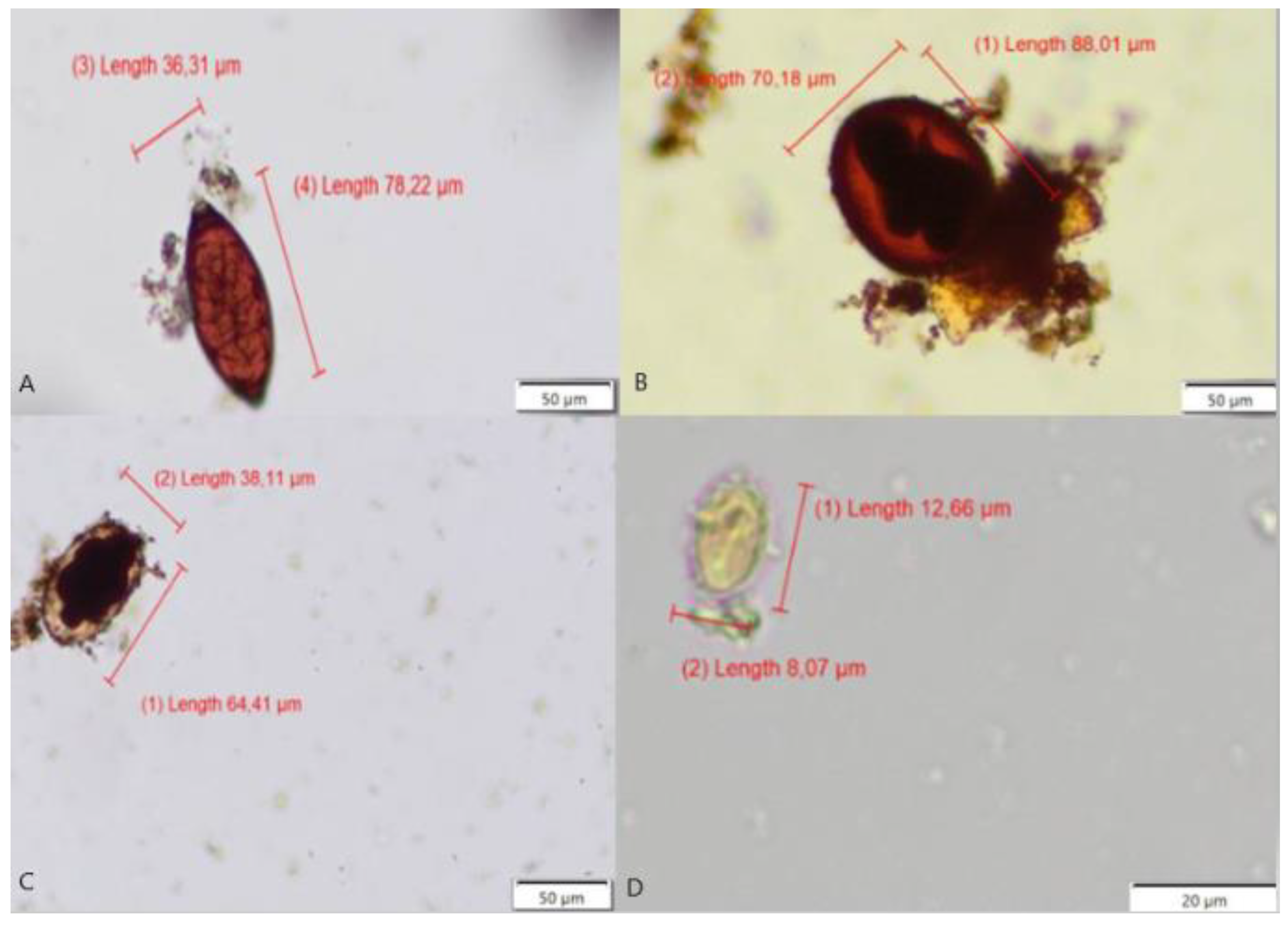 Pathogens 09 00139 g005