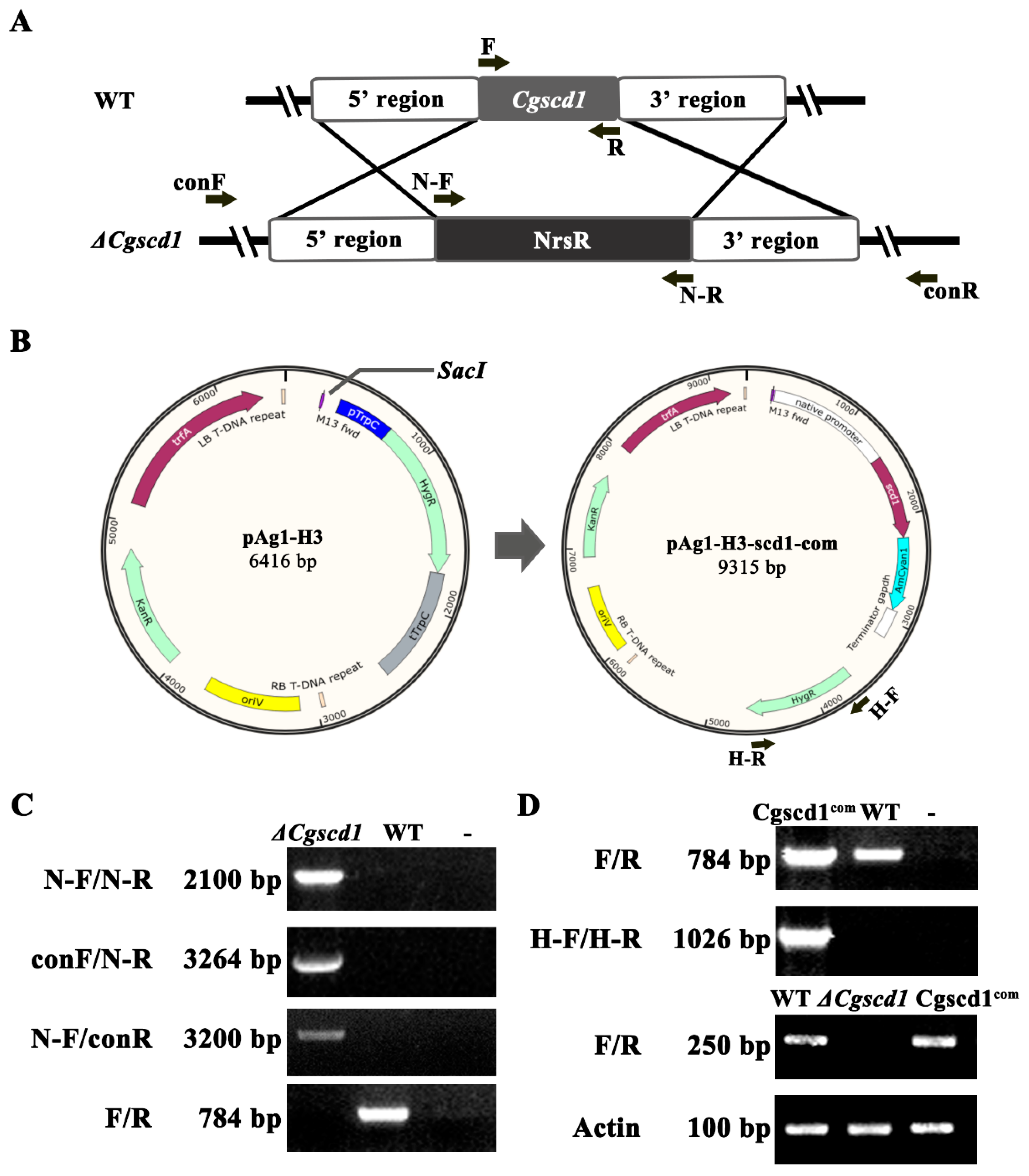 Pathogens 09 00141 g002