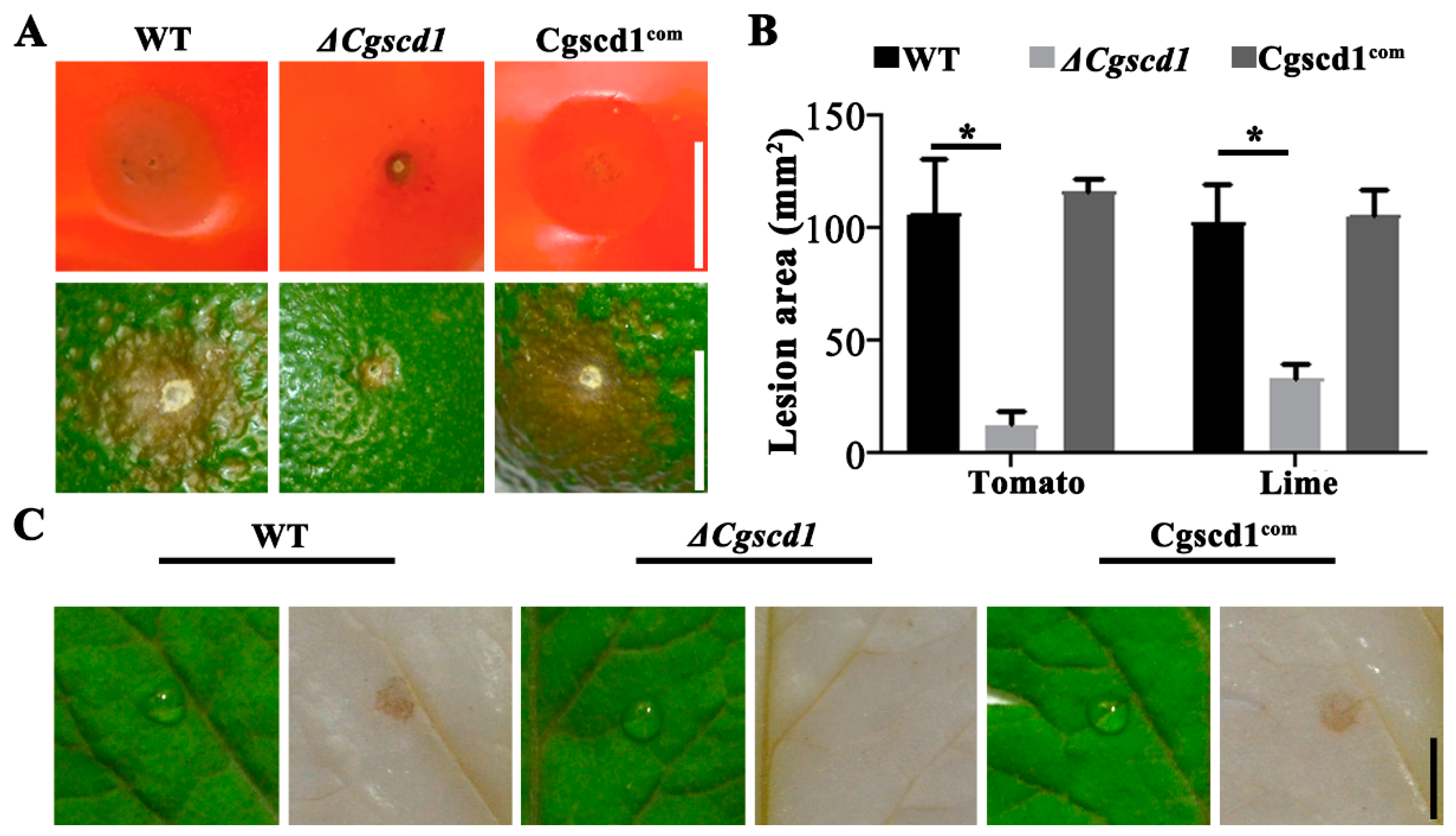 Pathogens 09 00141 g005