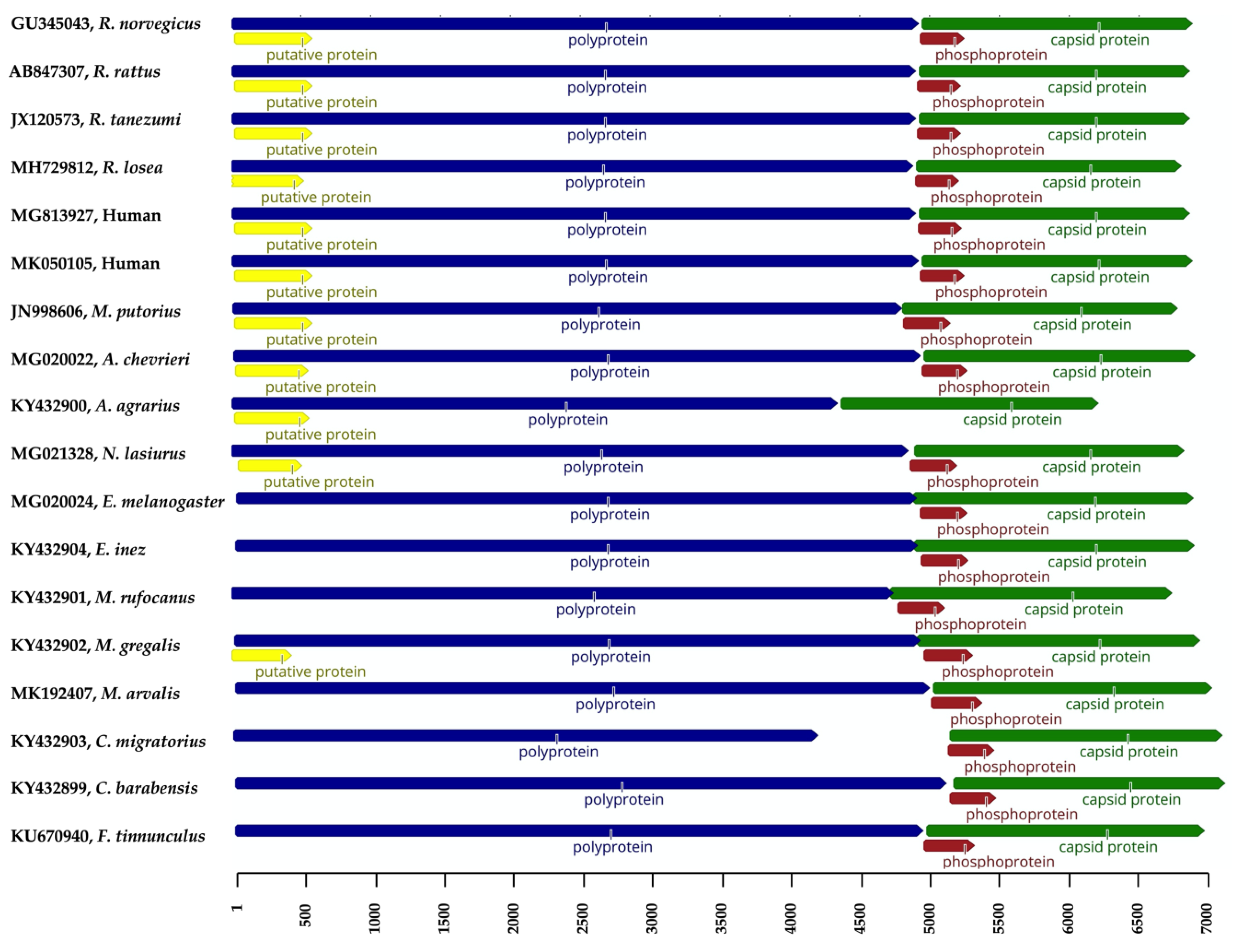 Pathogens 09 00154 g002 Pathogens 09 00154 g002