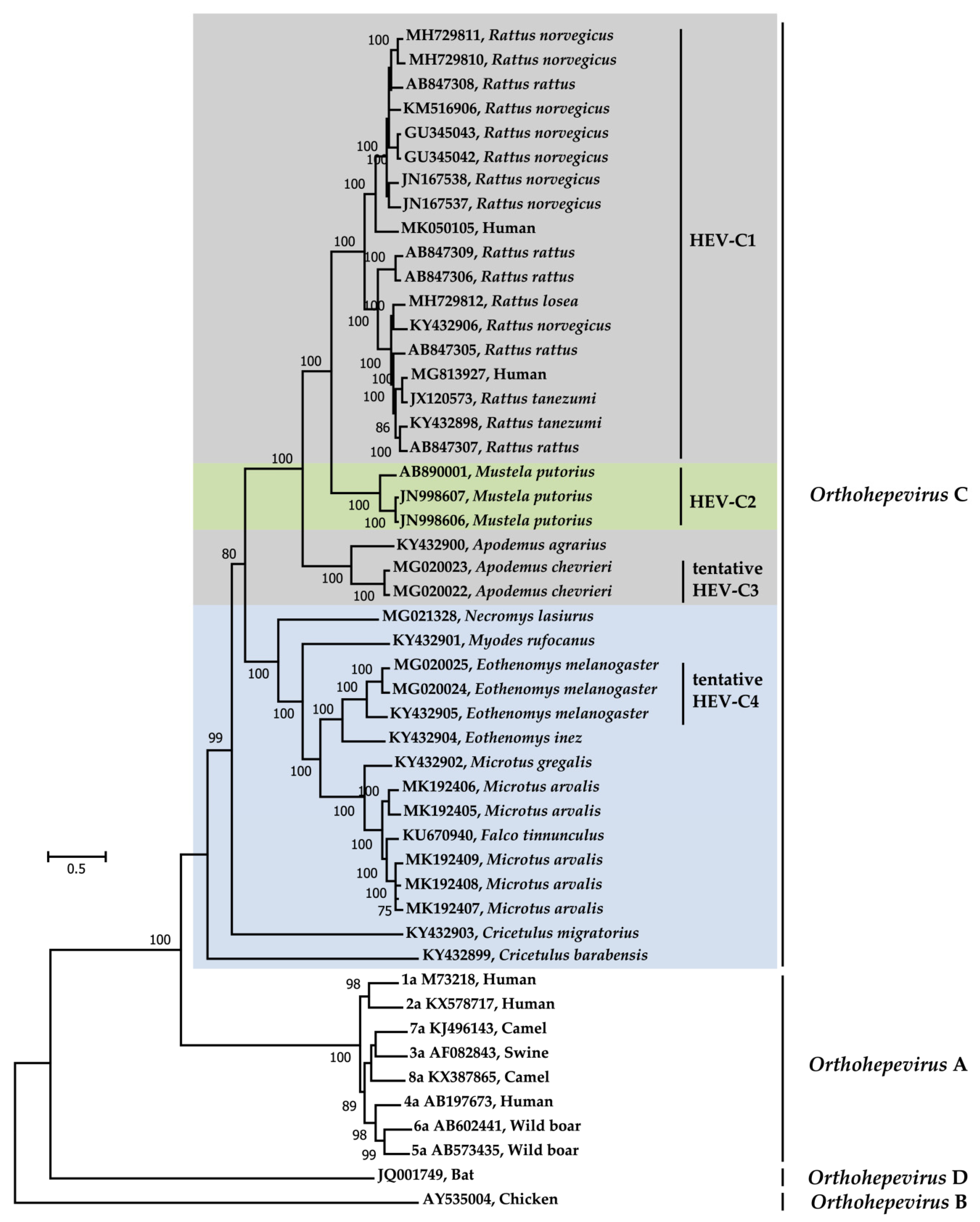 Pathogens 09 00154 g003 Pathogens 09 00154 g003