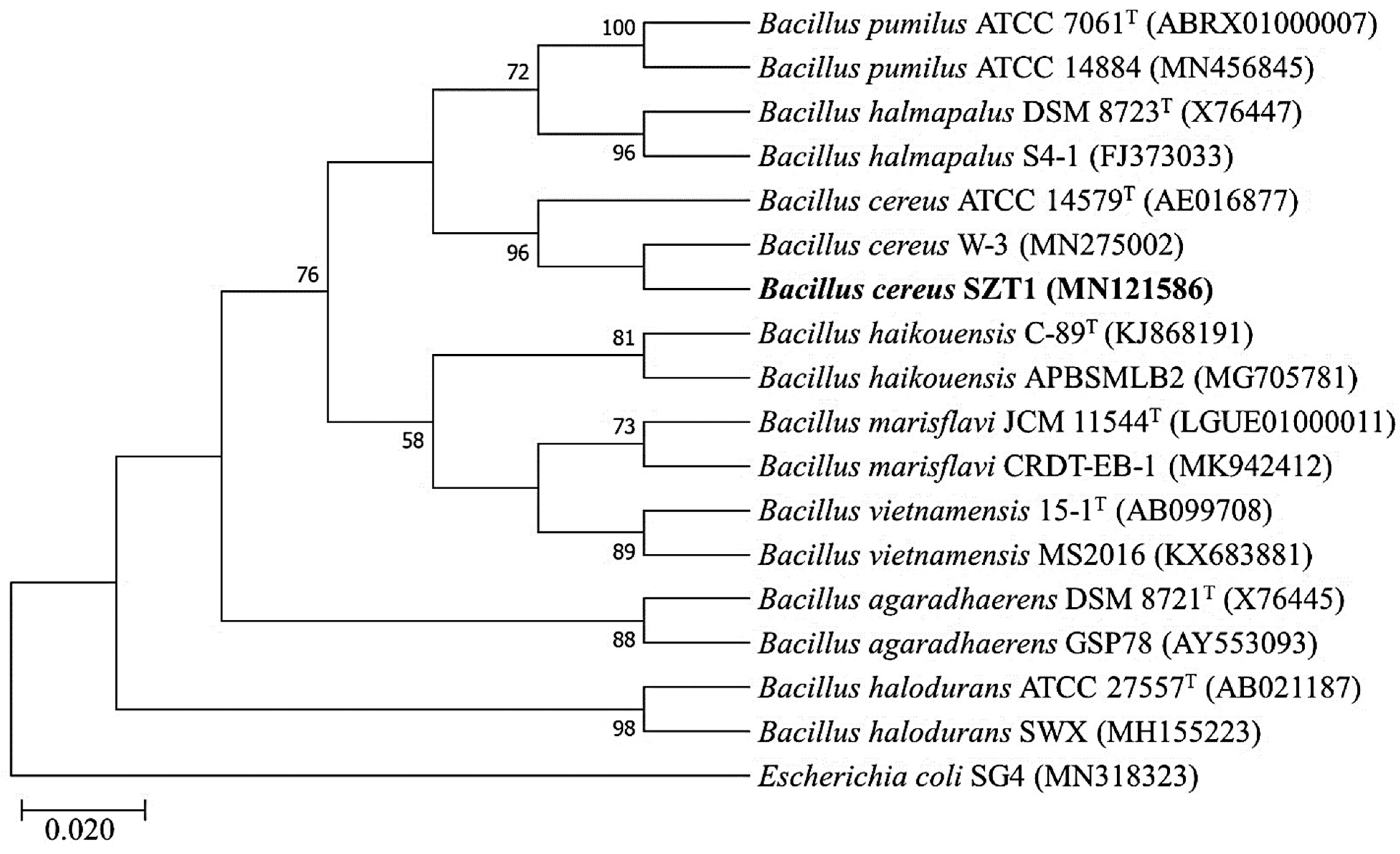 Pathogens 09 00160 g002 Pathogens 09 00160 g002