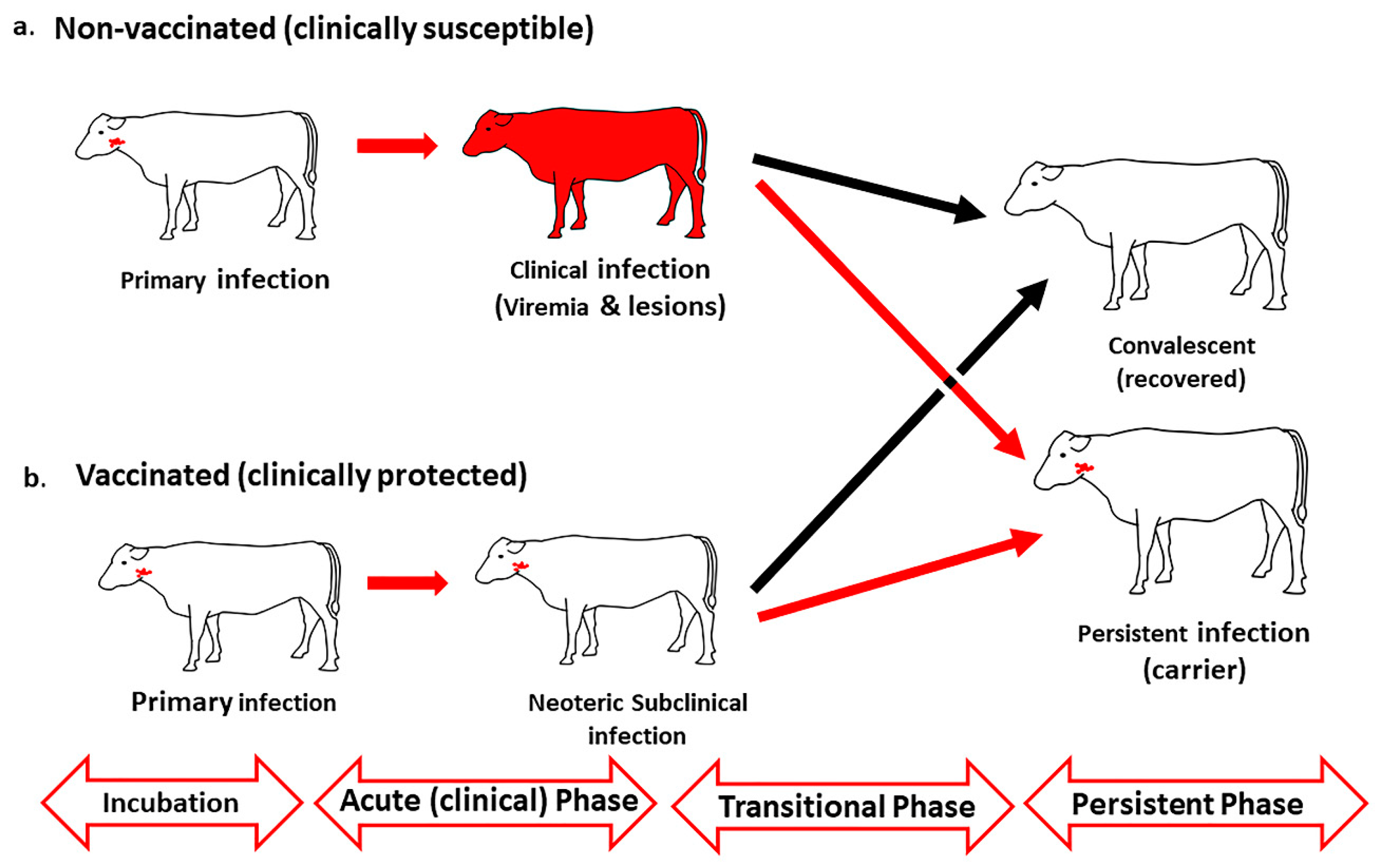 Pathogens 09 00167 g001