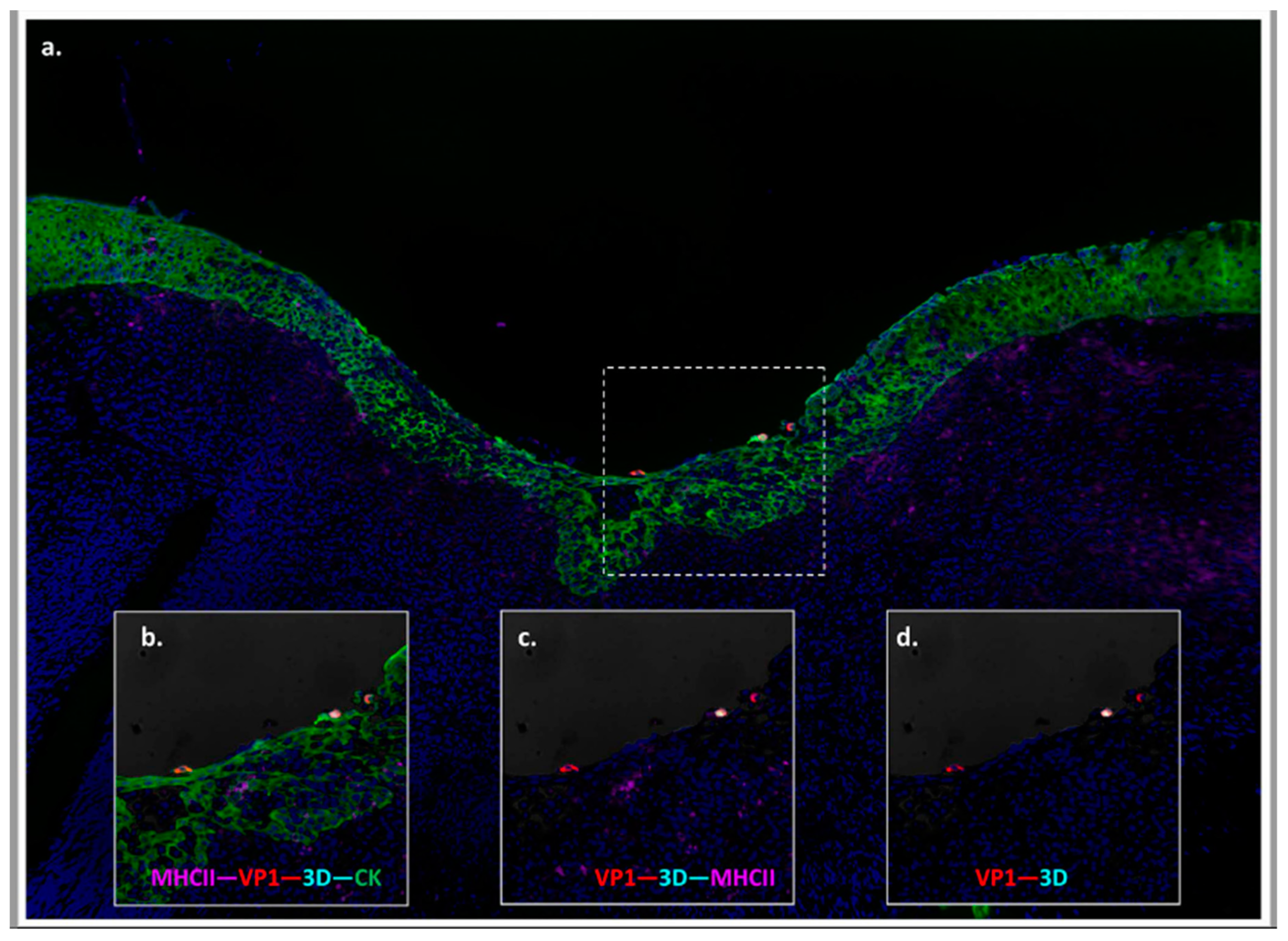 Pathogens 09 00167 g003