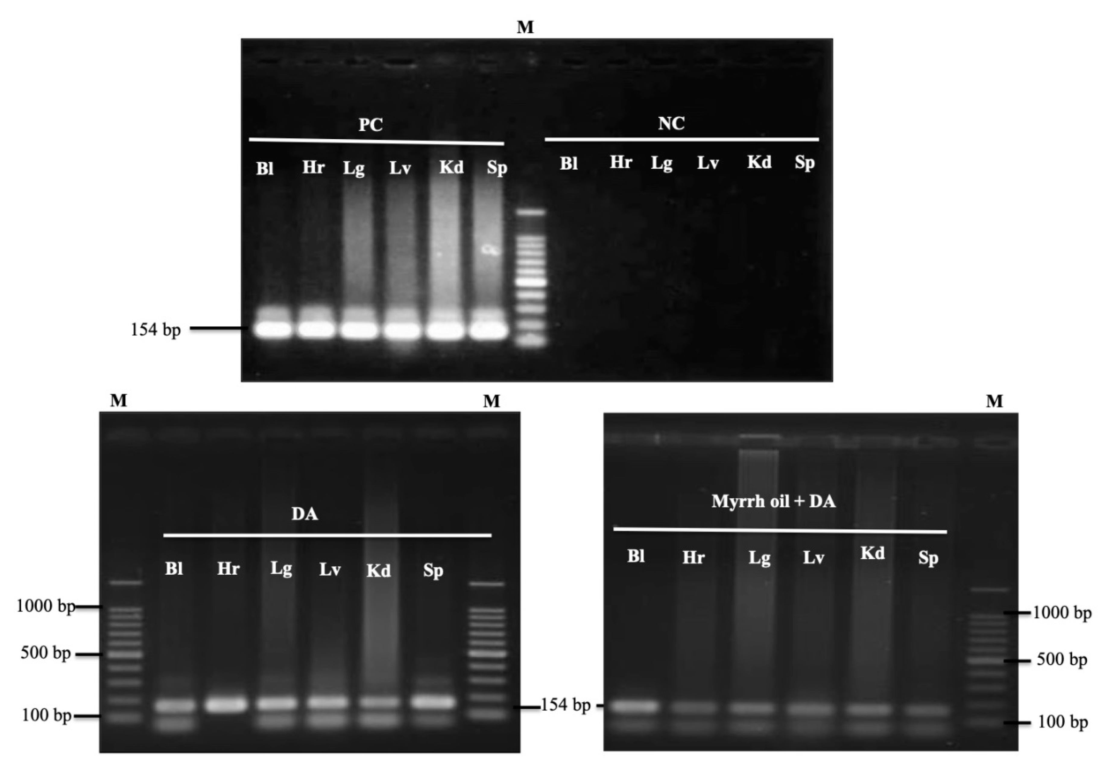Pathogens 09 00173 g006
