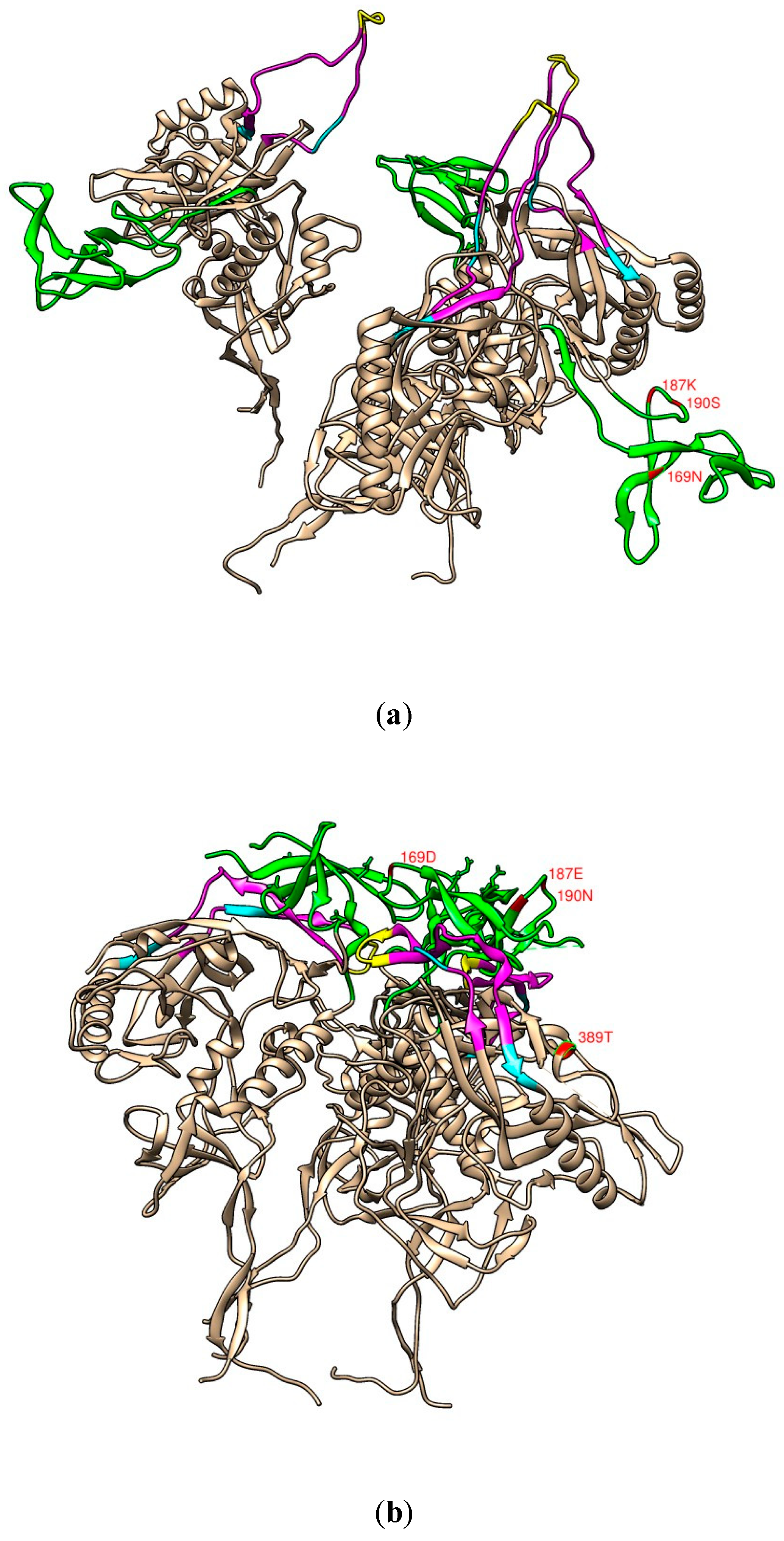 Pathogens 09 00181 g008 Pathogens 09 00181 g008