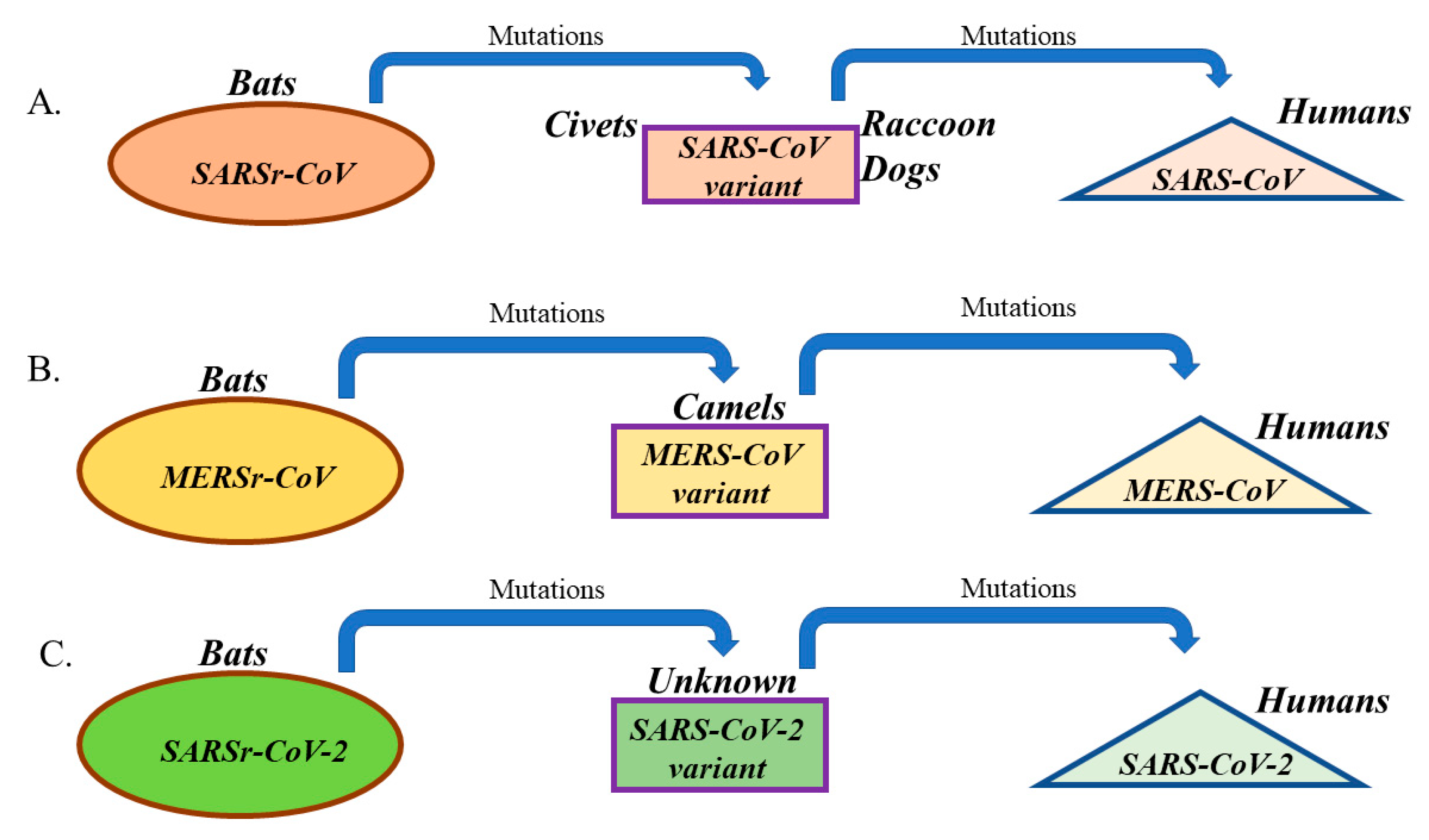 Pathogens 09 00186 g002