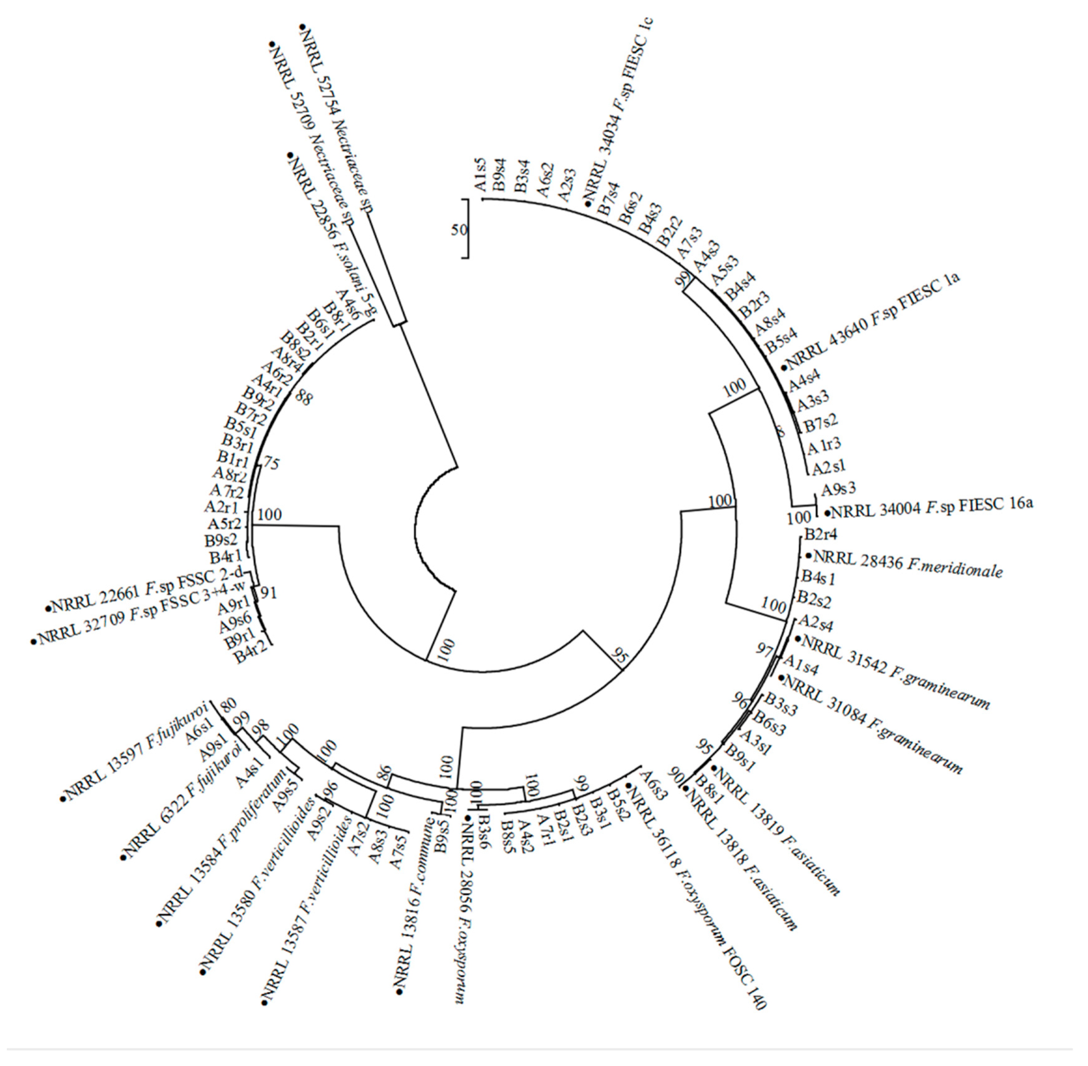 Pathogens 09 00211 g002