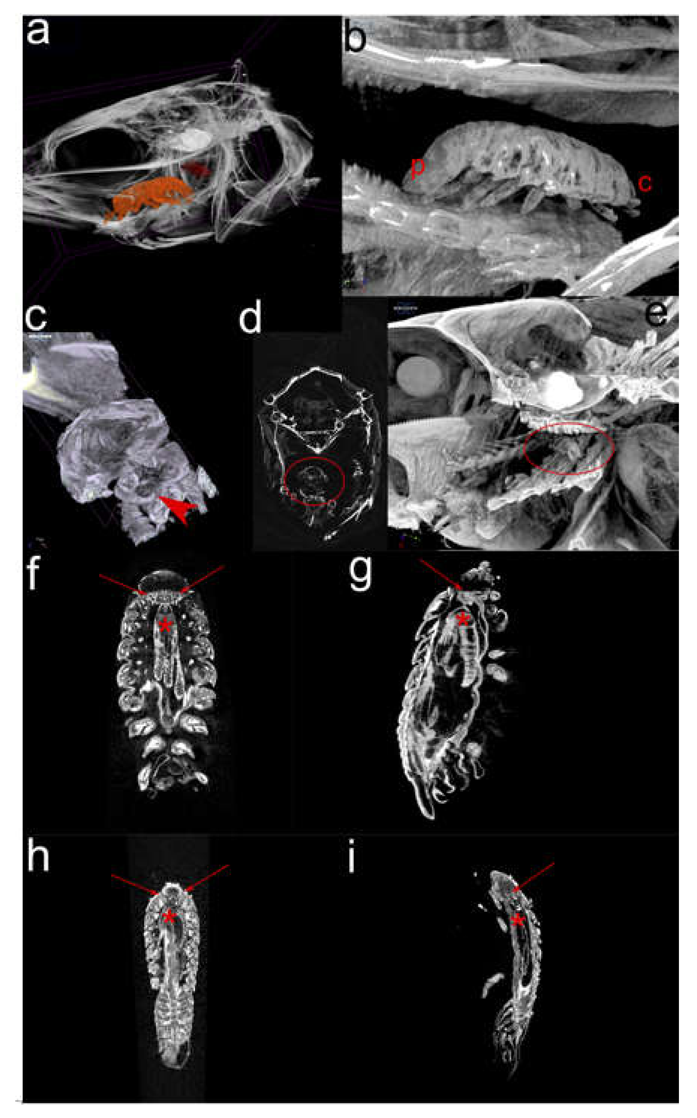 Pathogens 09 00230 g003
